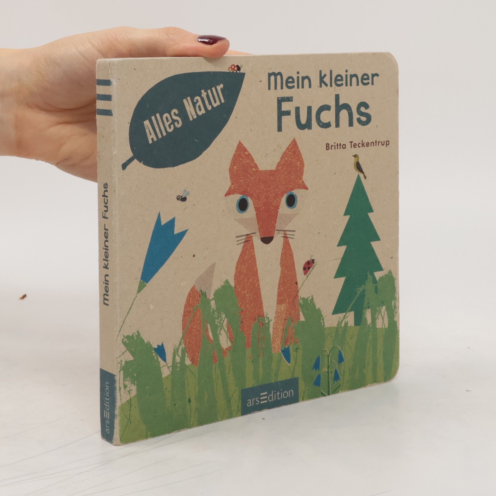 Britta Teckentrup Mein kleiner Fuchs