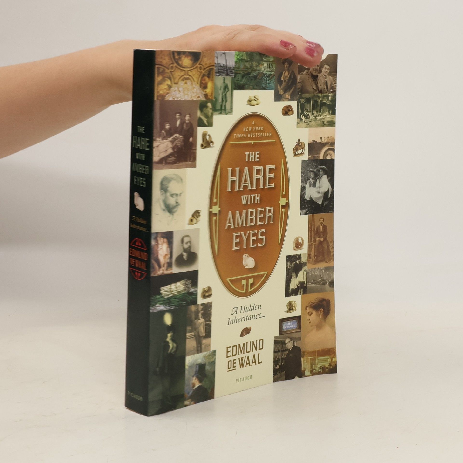 Edmund De Waal The hare with amber eyes : a hidden inheritance