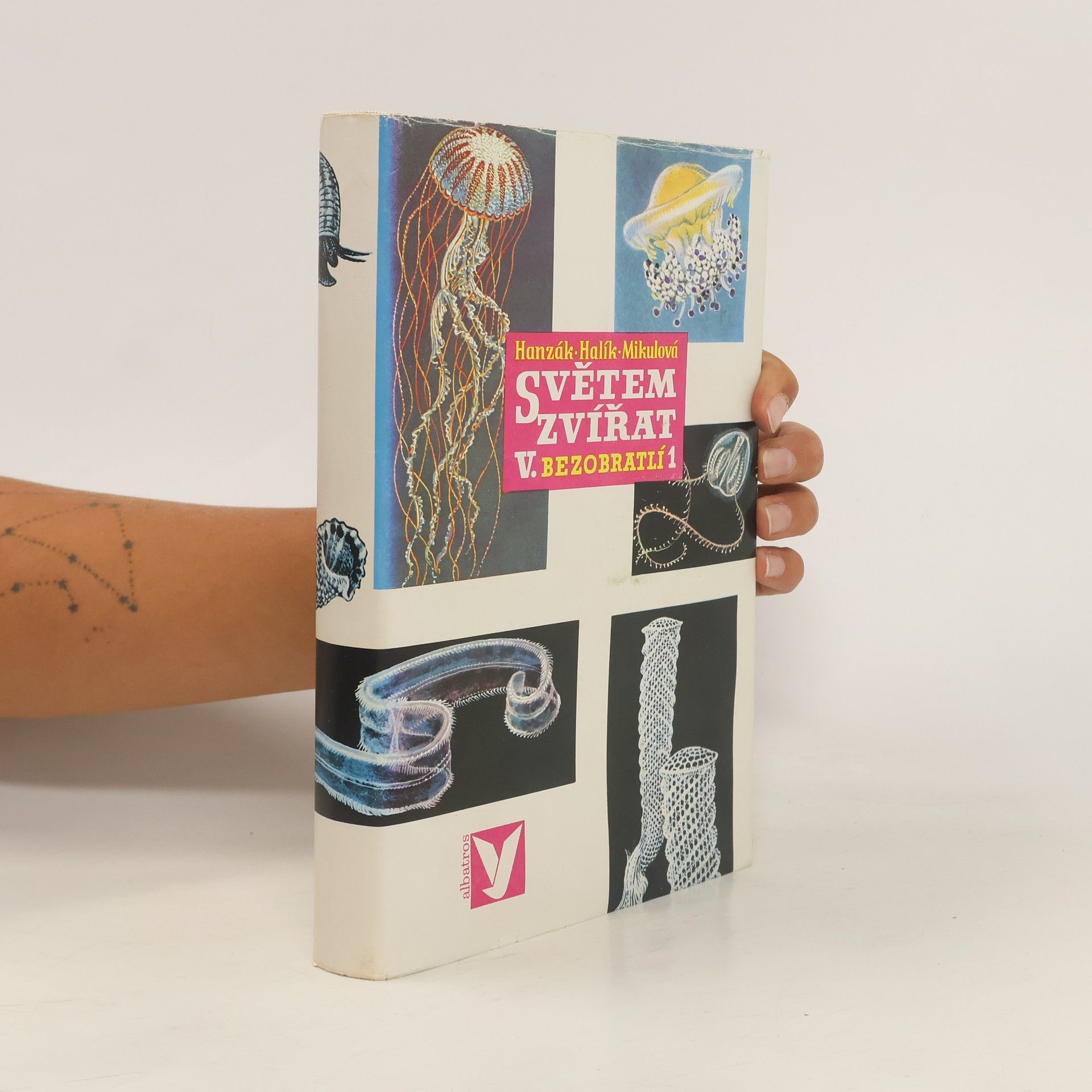 Světem zvířat V. Bezobratlí 1