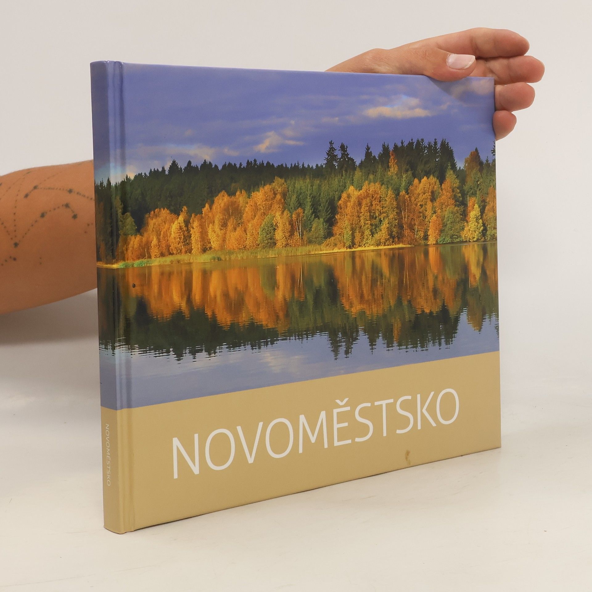 Kolektiv autorů Novoměstsko