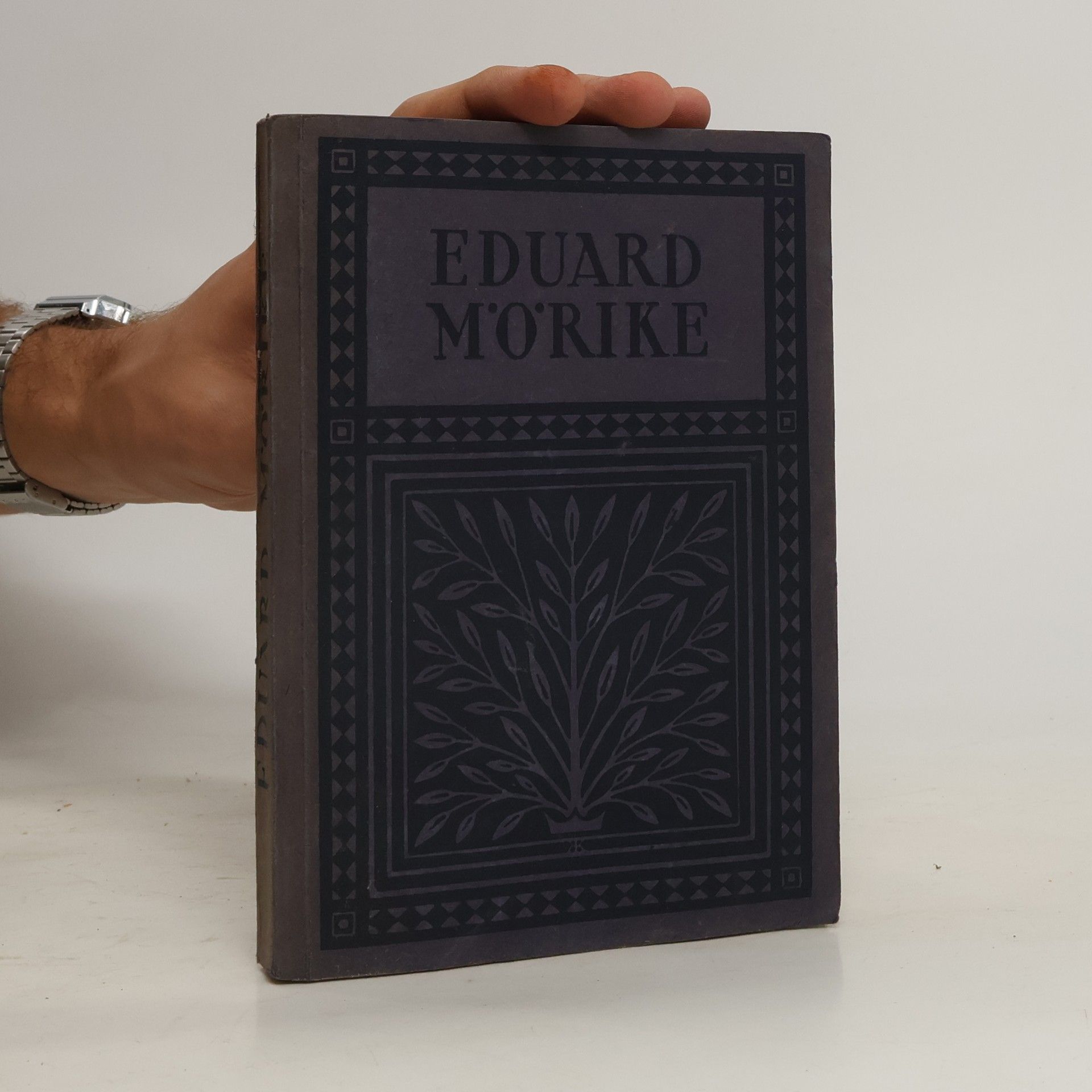 Eduard Mörike Ausgewählte Gedichte und Erzählungen