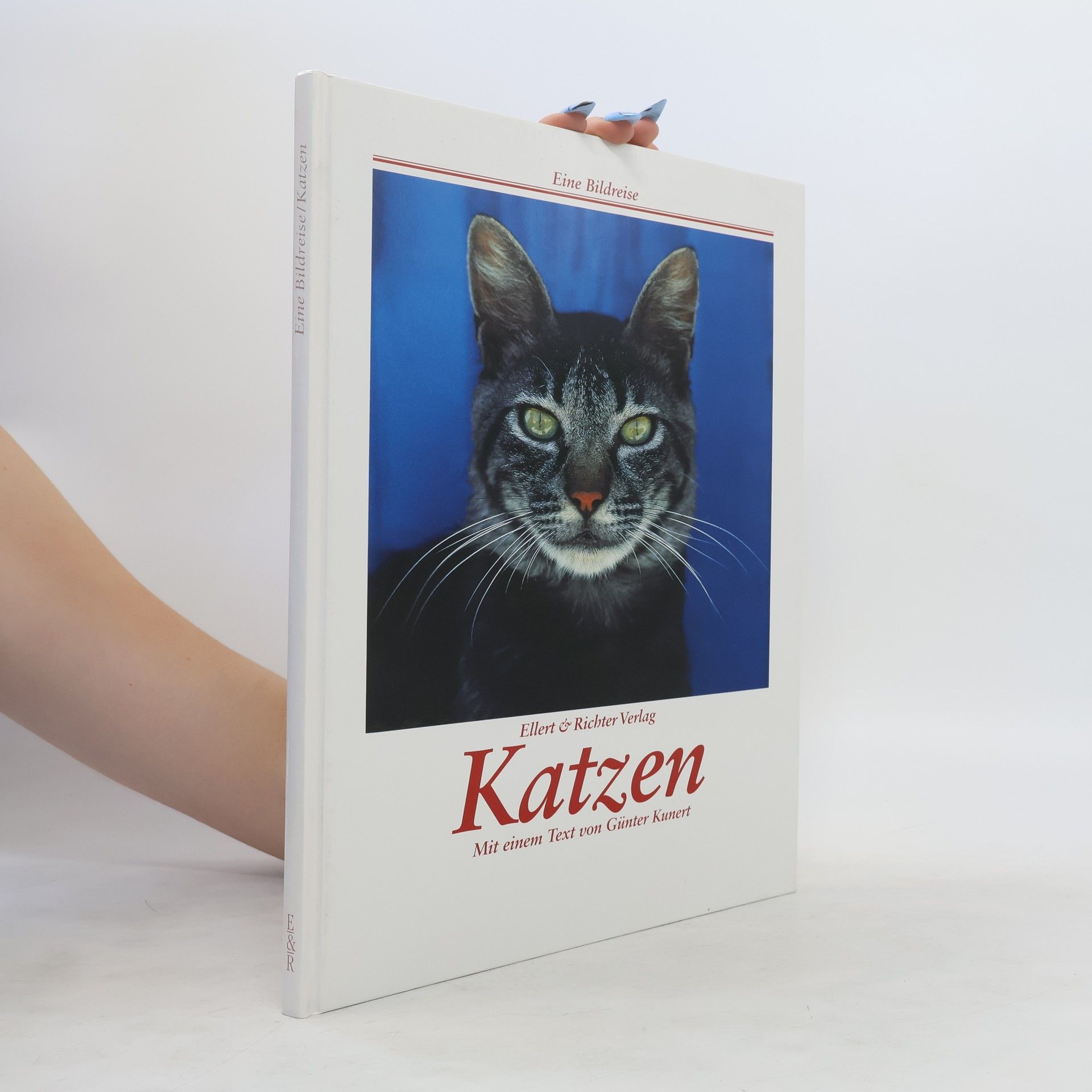 Günter Kunert Katzen
