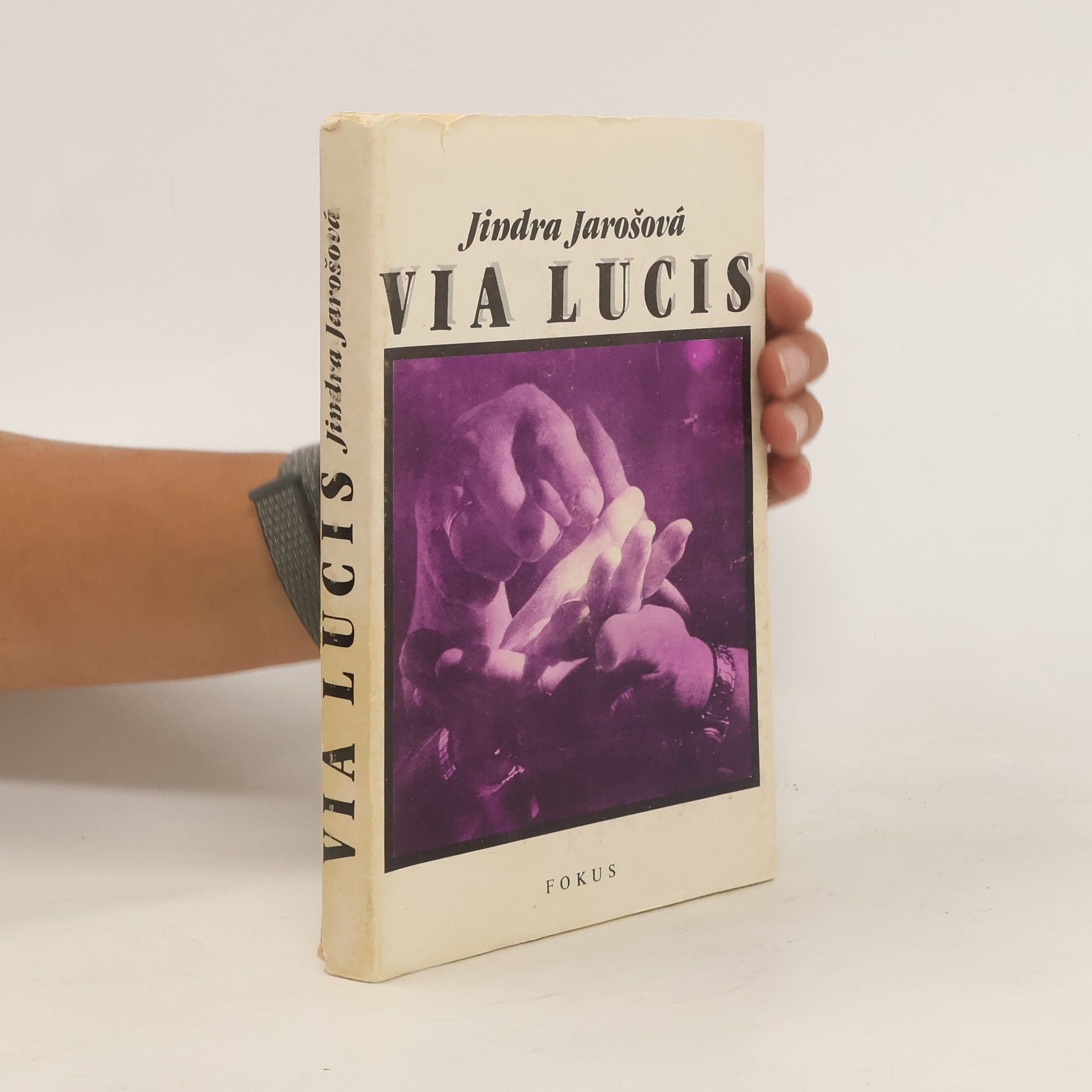 Jindra Jarošová Via Lucis