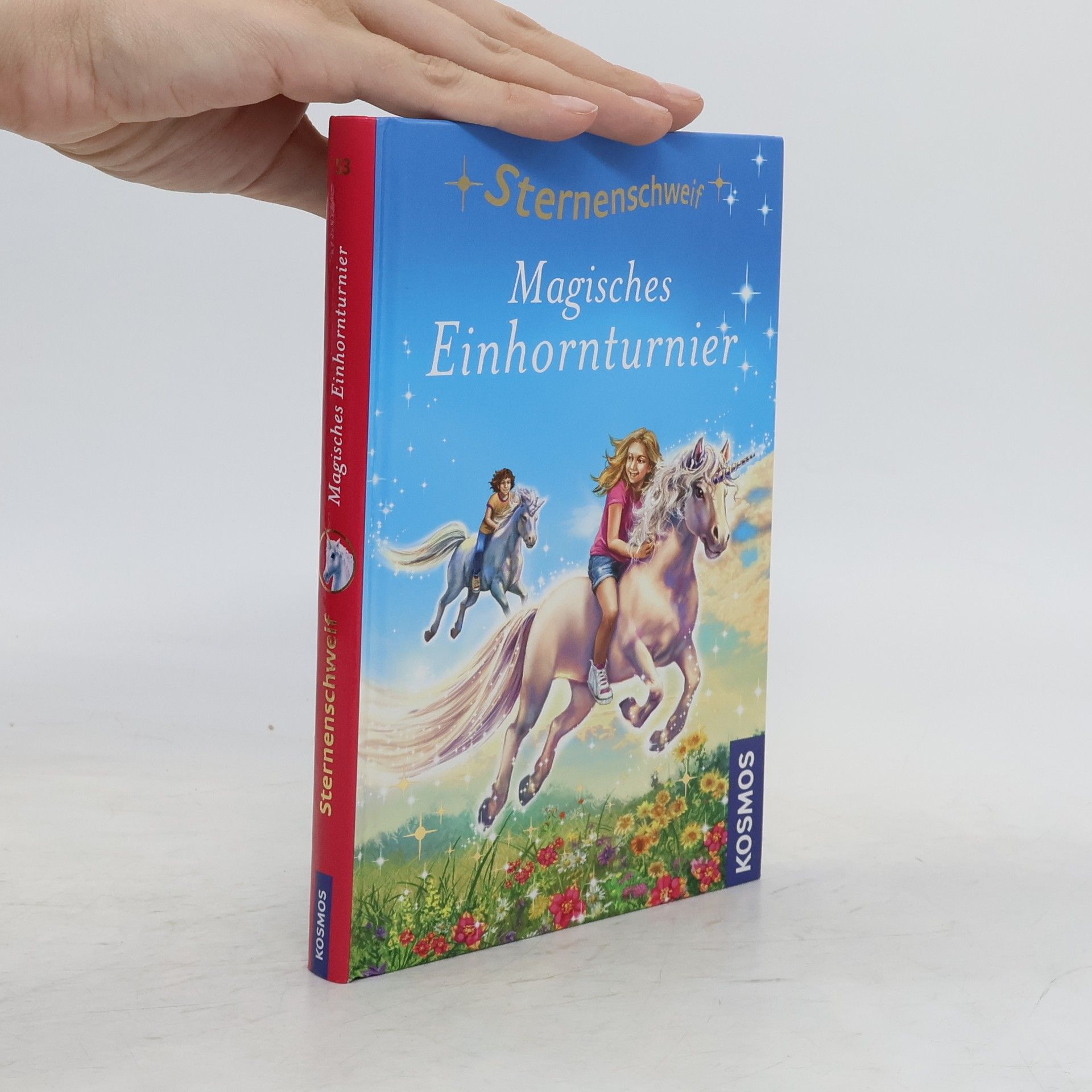 Ulrike Leistenschneider Magisches Einhornturnier