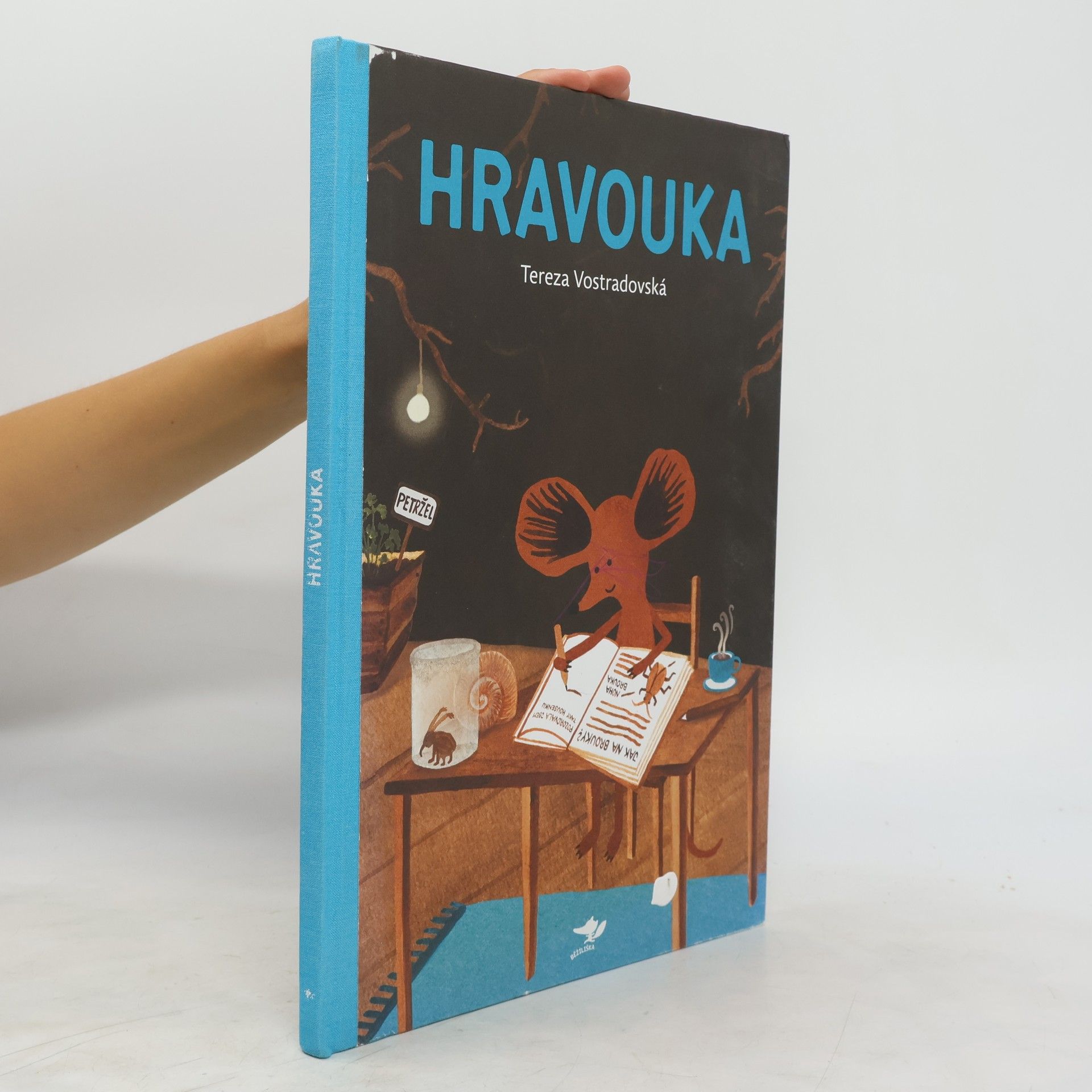 Tereza Vostradovská Hravouka