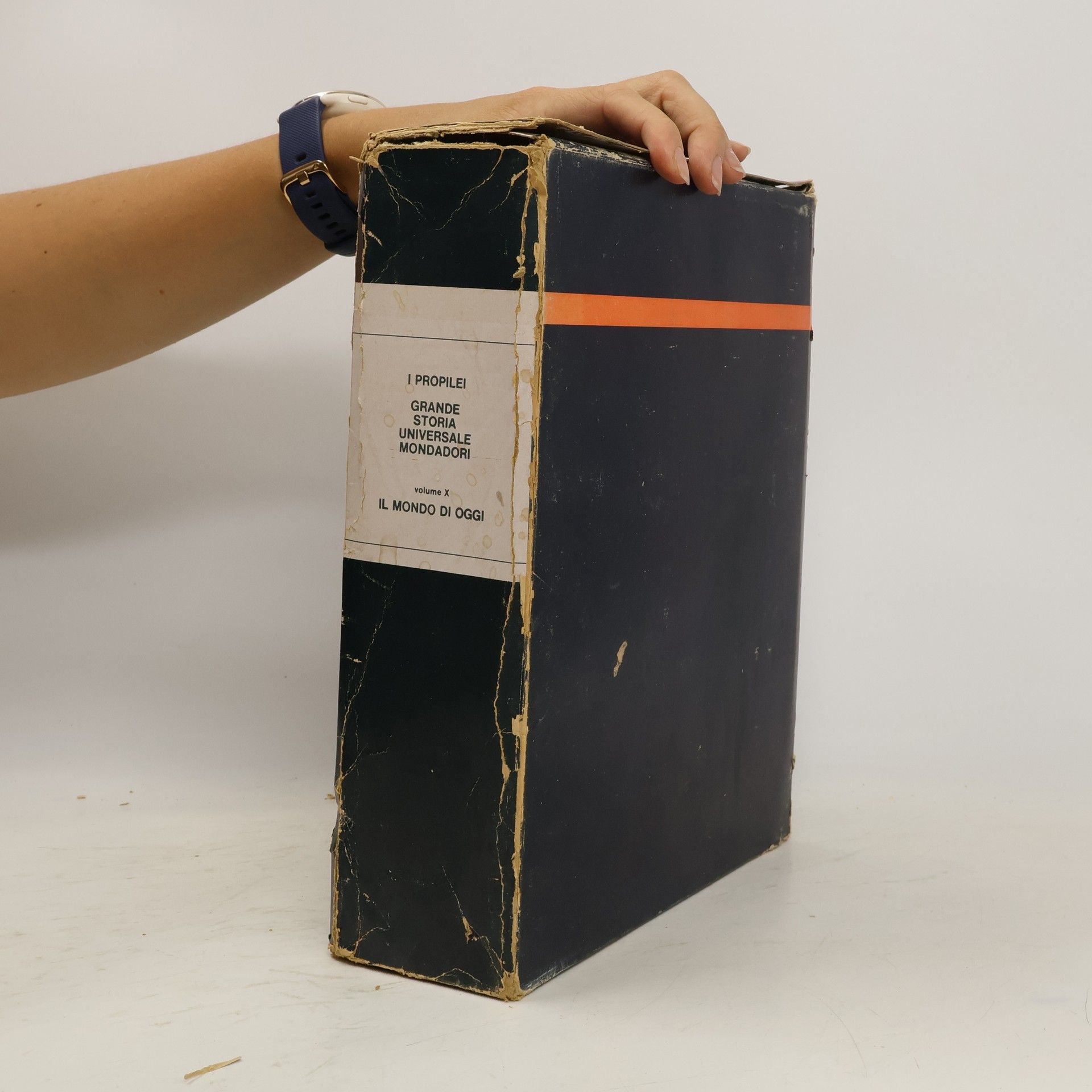 AA.VV. I Propilei. Grande storia universale Mondadori. Vol. X.