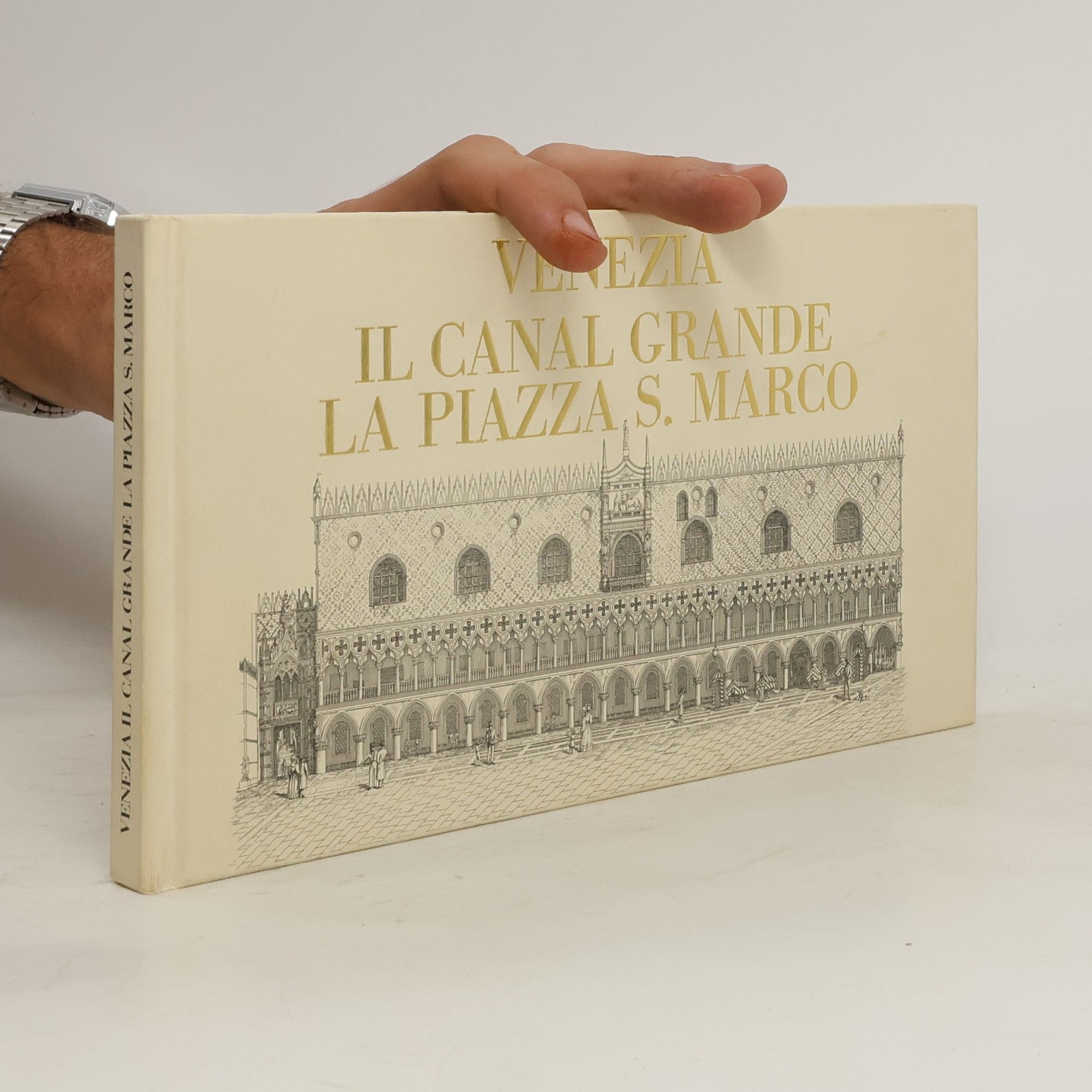 AA.VV. Venezia il canal grande la piazza S. Marco