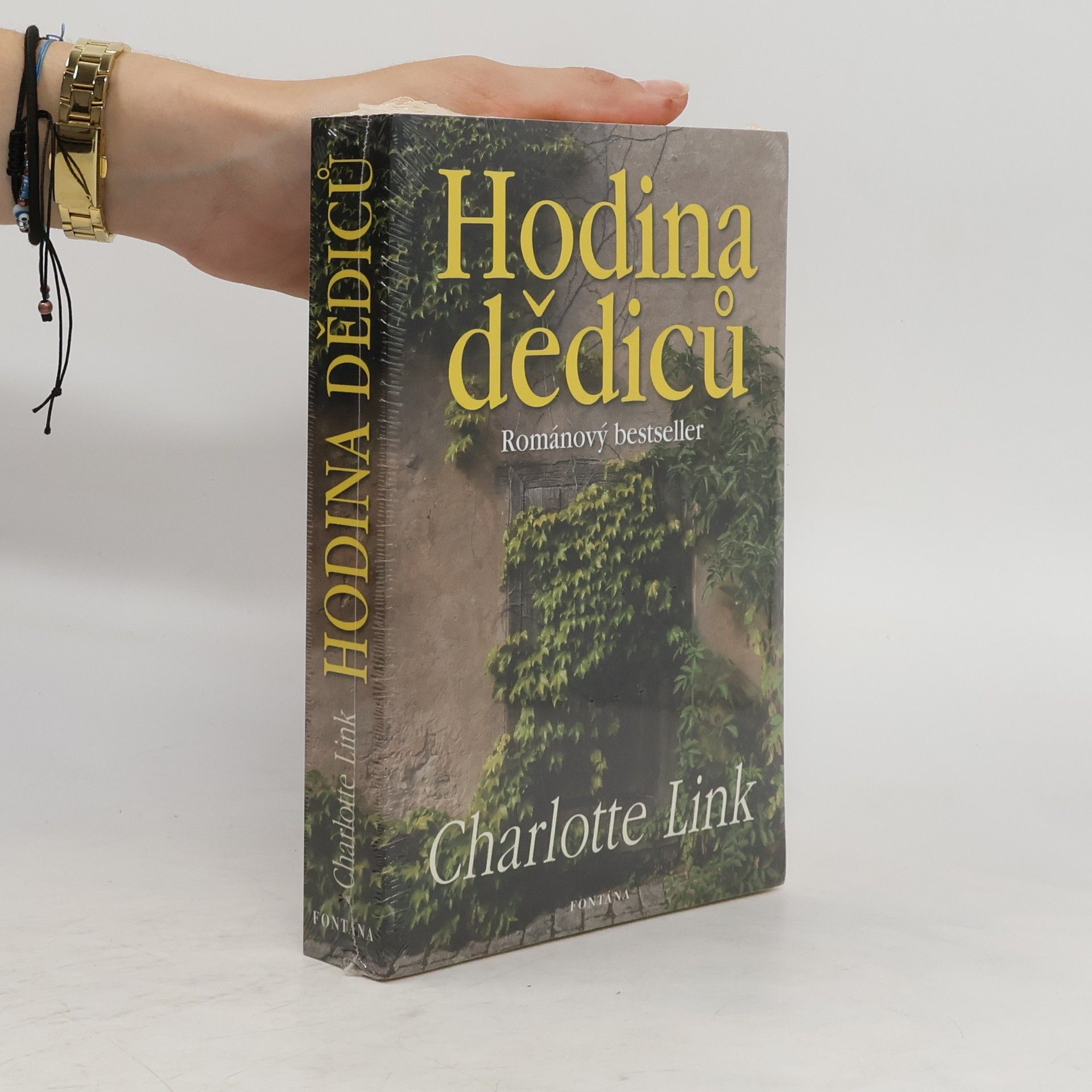 Charlotte Link Hodina dědiců