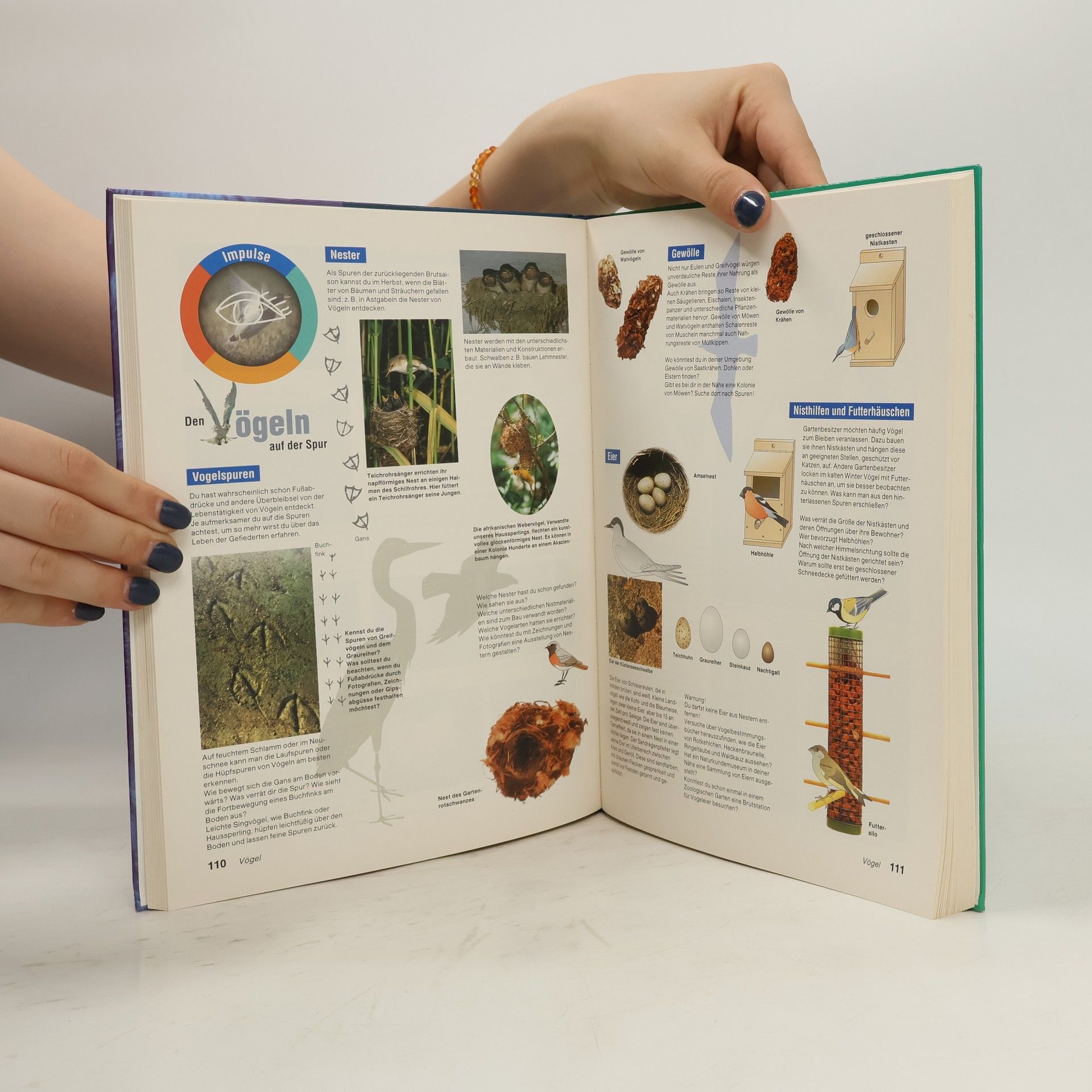 Various authors Natura - Biologie für Gymnasien. Saschen 5/6