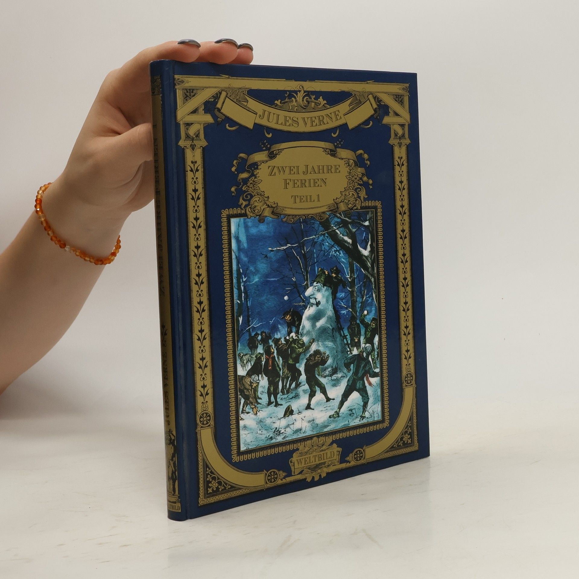 Jules Verne Zwei Jahre Ferien, Teil 1