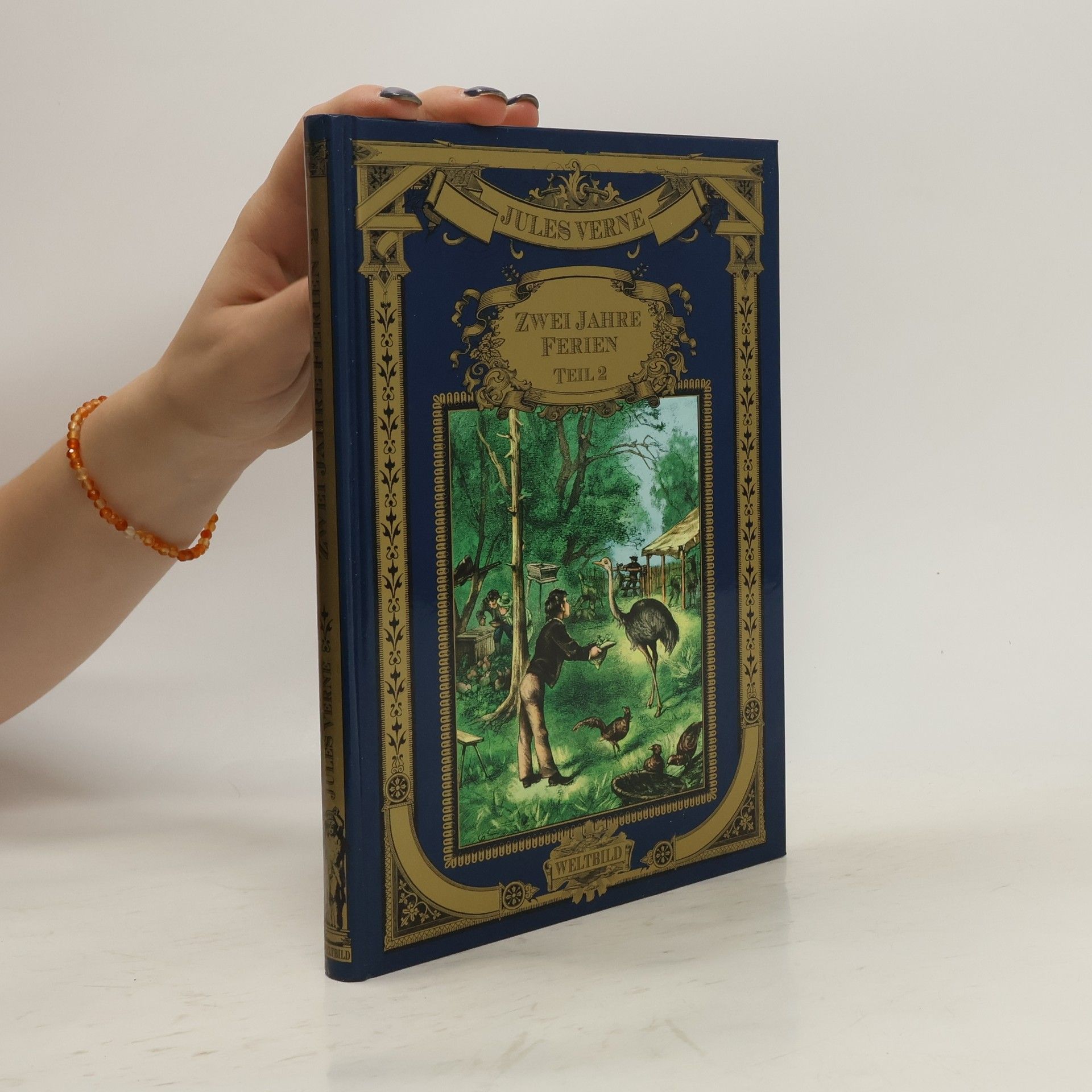 Jules Verne Zwei Jahre Ferien 2