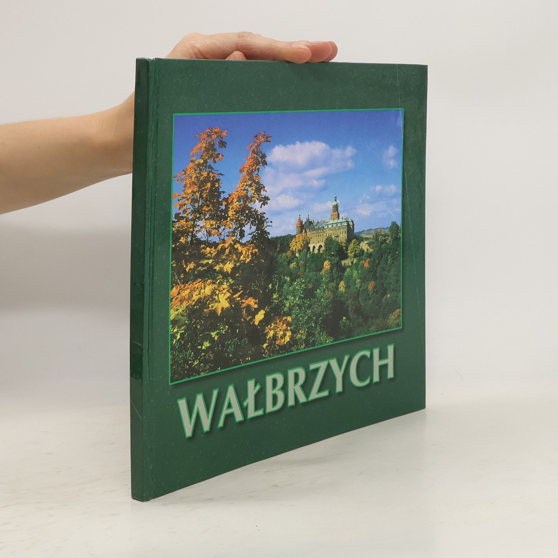 Auteurscollectief Wałbrzych