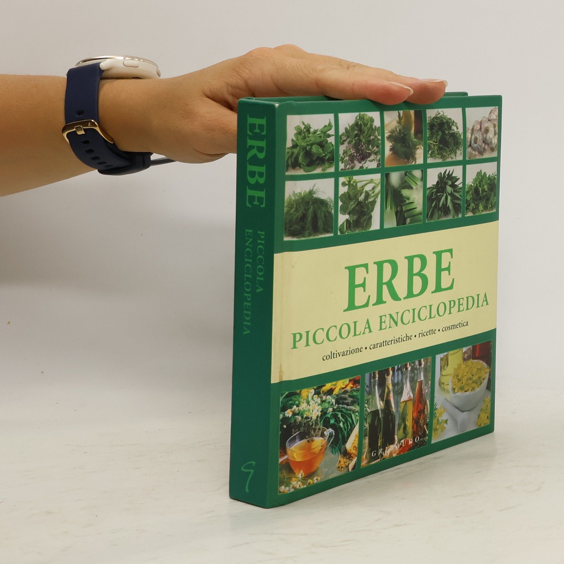 Andrea Rausch Erbe