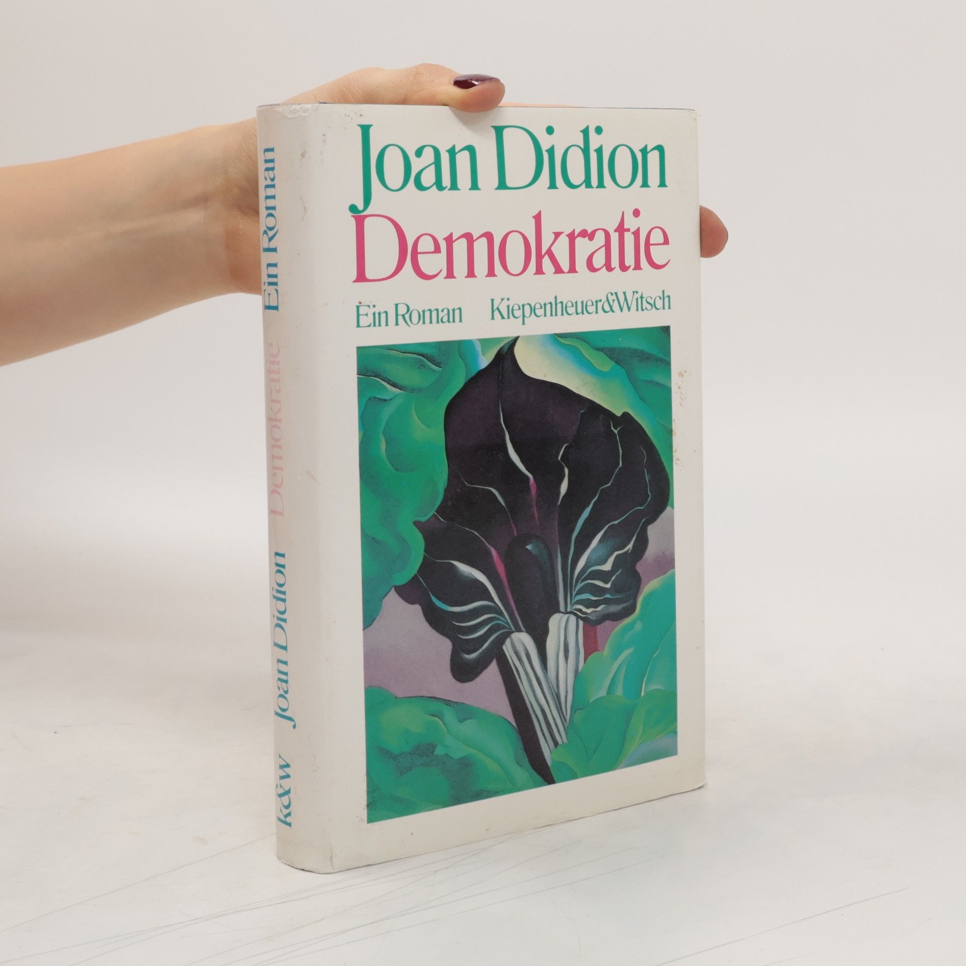 Joan Didion Demokratie
