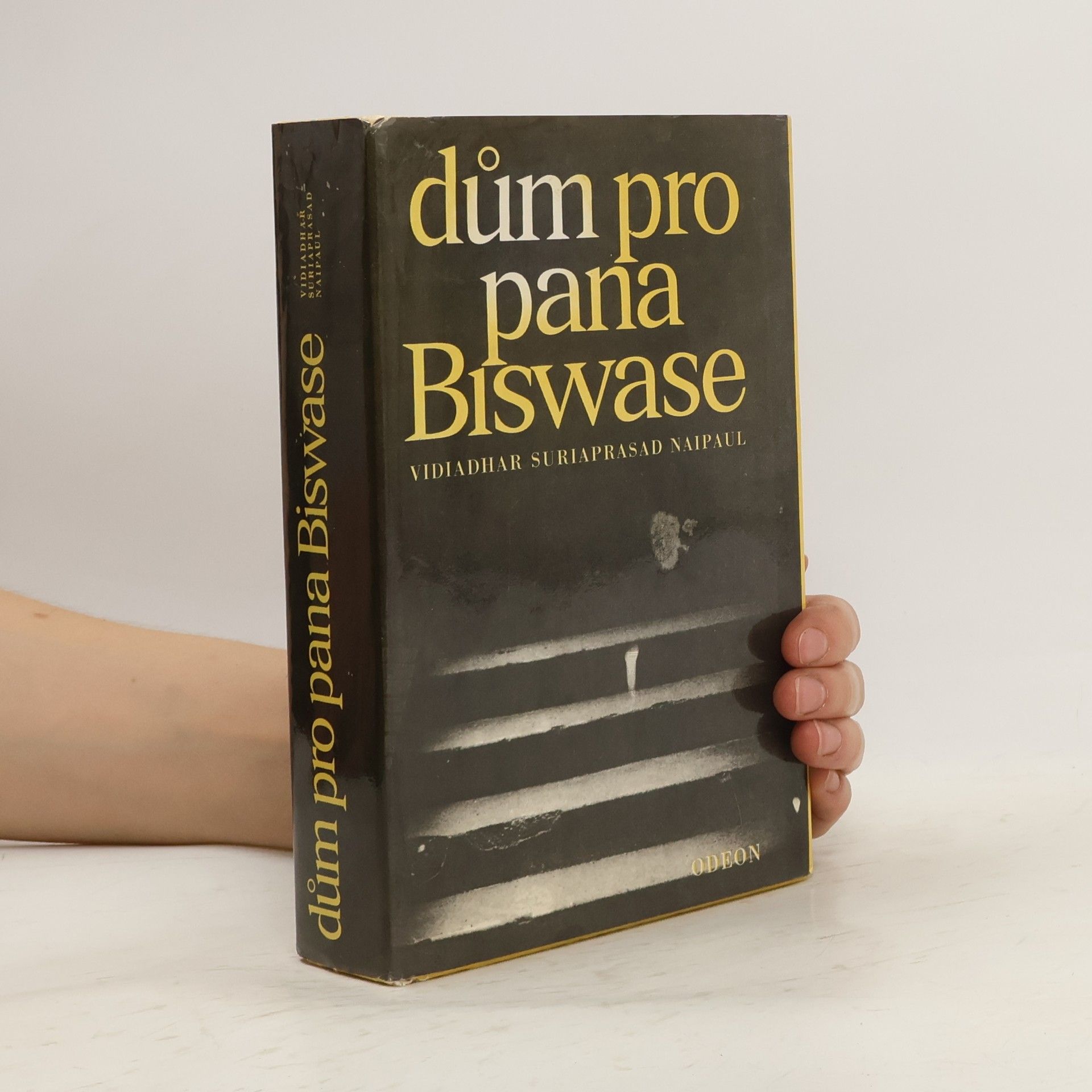 V. S. Naipaul Dům pro pana Biswase