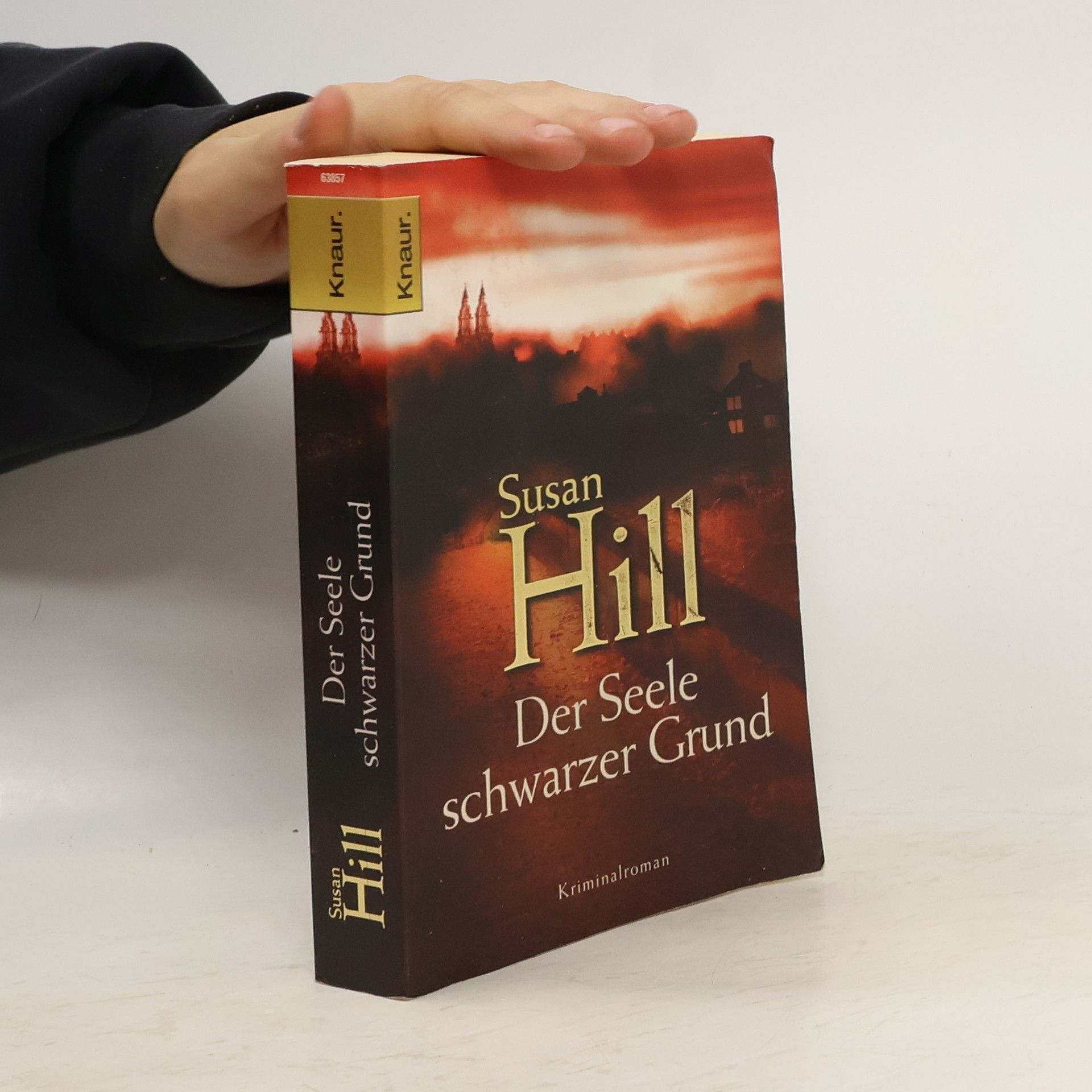 Susan Hill Der Seele schwarzer Grund