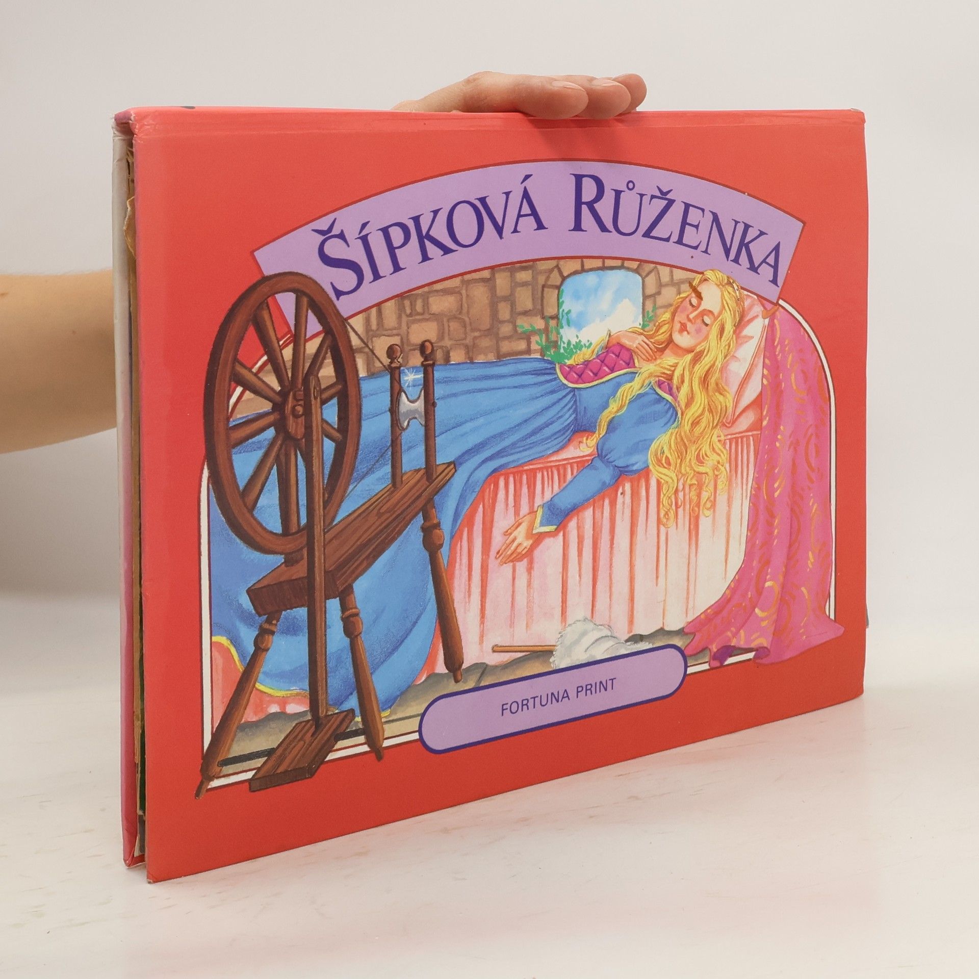 Autorenkollektiv Šípková Růženka