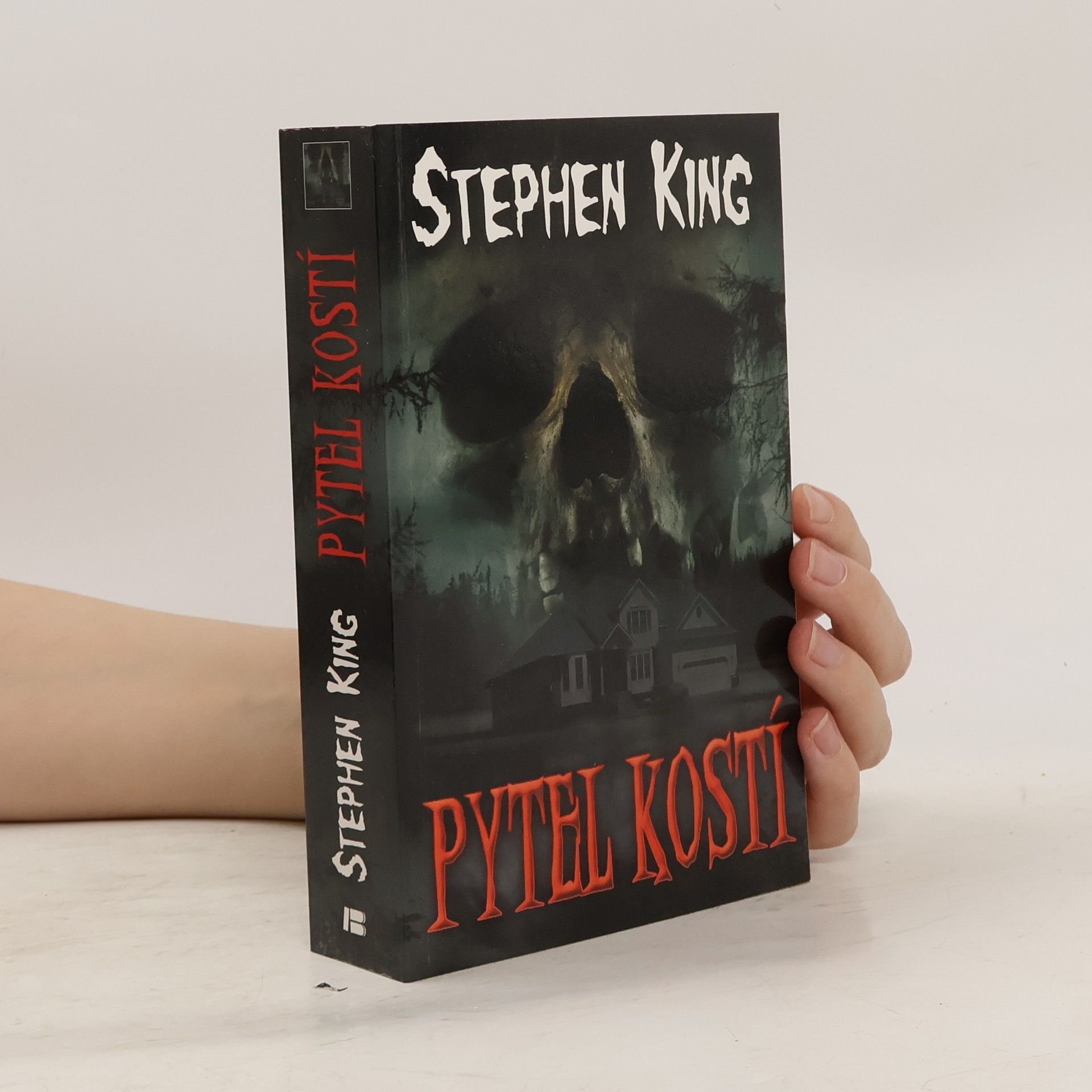 Stephen King Pytel kostí