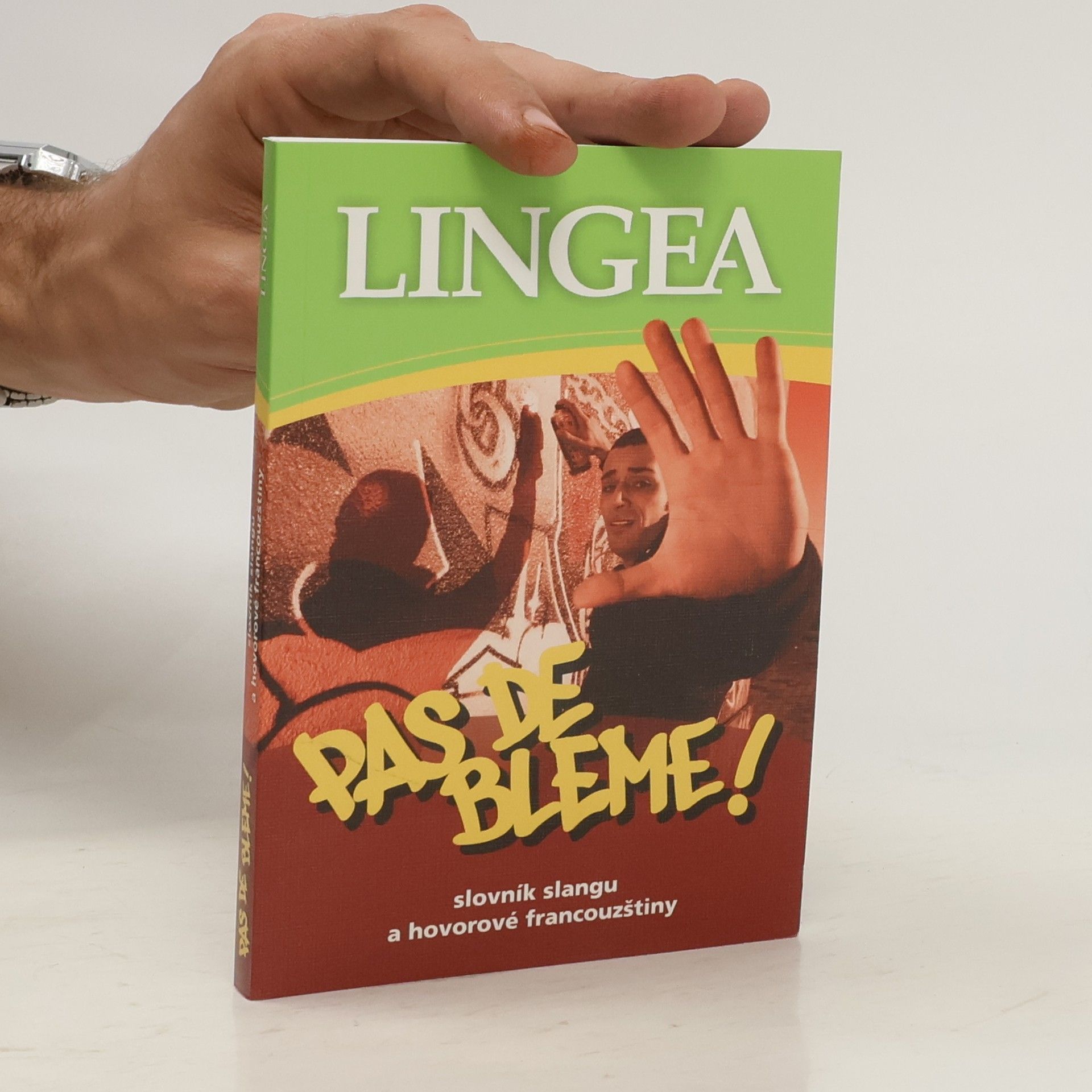 Kolektiv autorů PAS DE BLEME ! Slovník slangu a hovorové francouzštiny