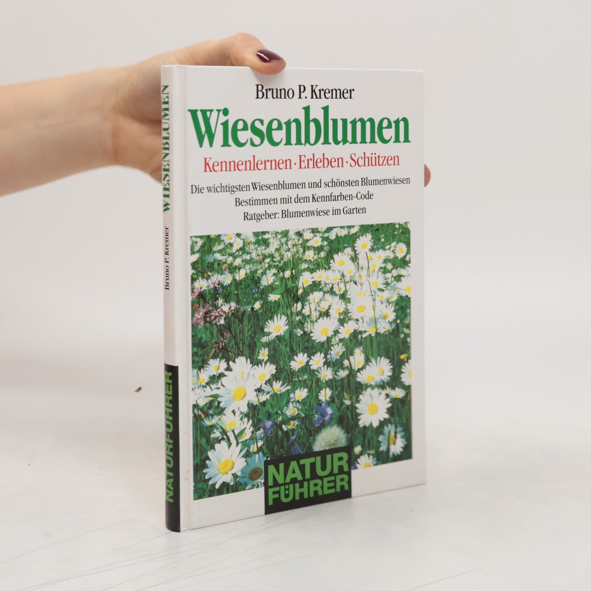 Bruno P. Kremer Wiesenblumen