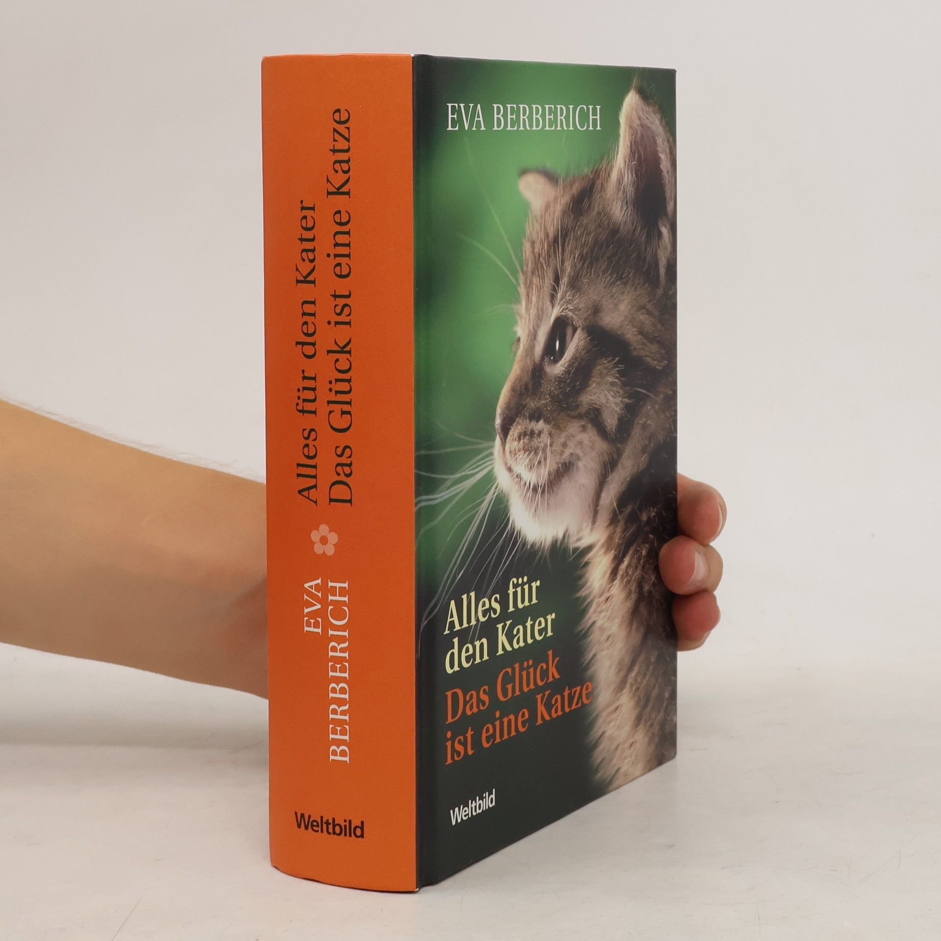 Eva Berberich Das Glück ist eine Katze