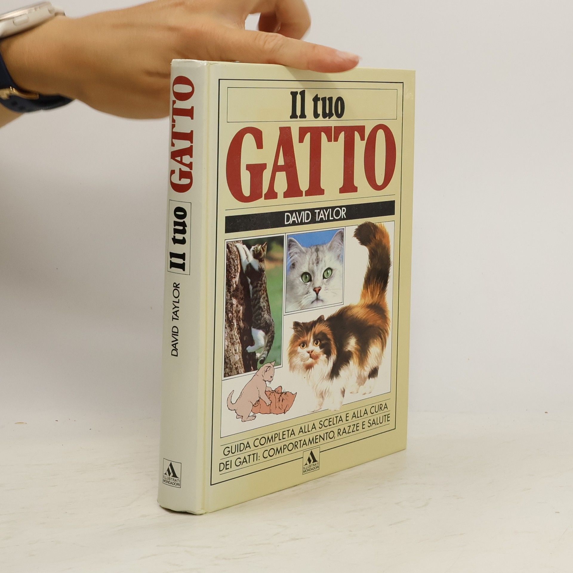 David Taylor Il tuo gatto