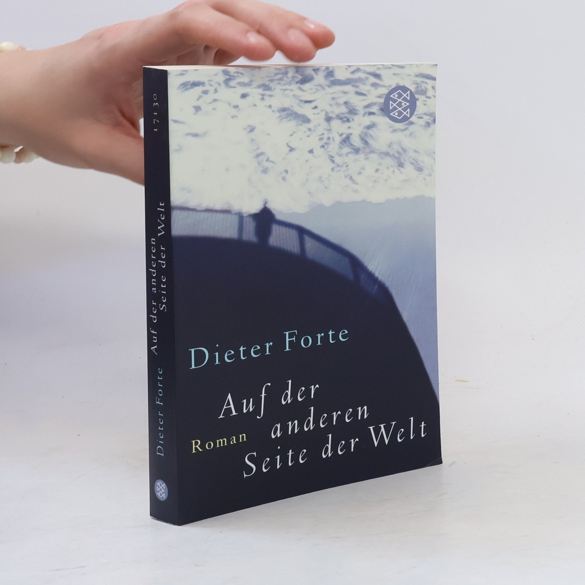 Dieter Forte Auf der anderen Seite der Welt