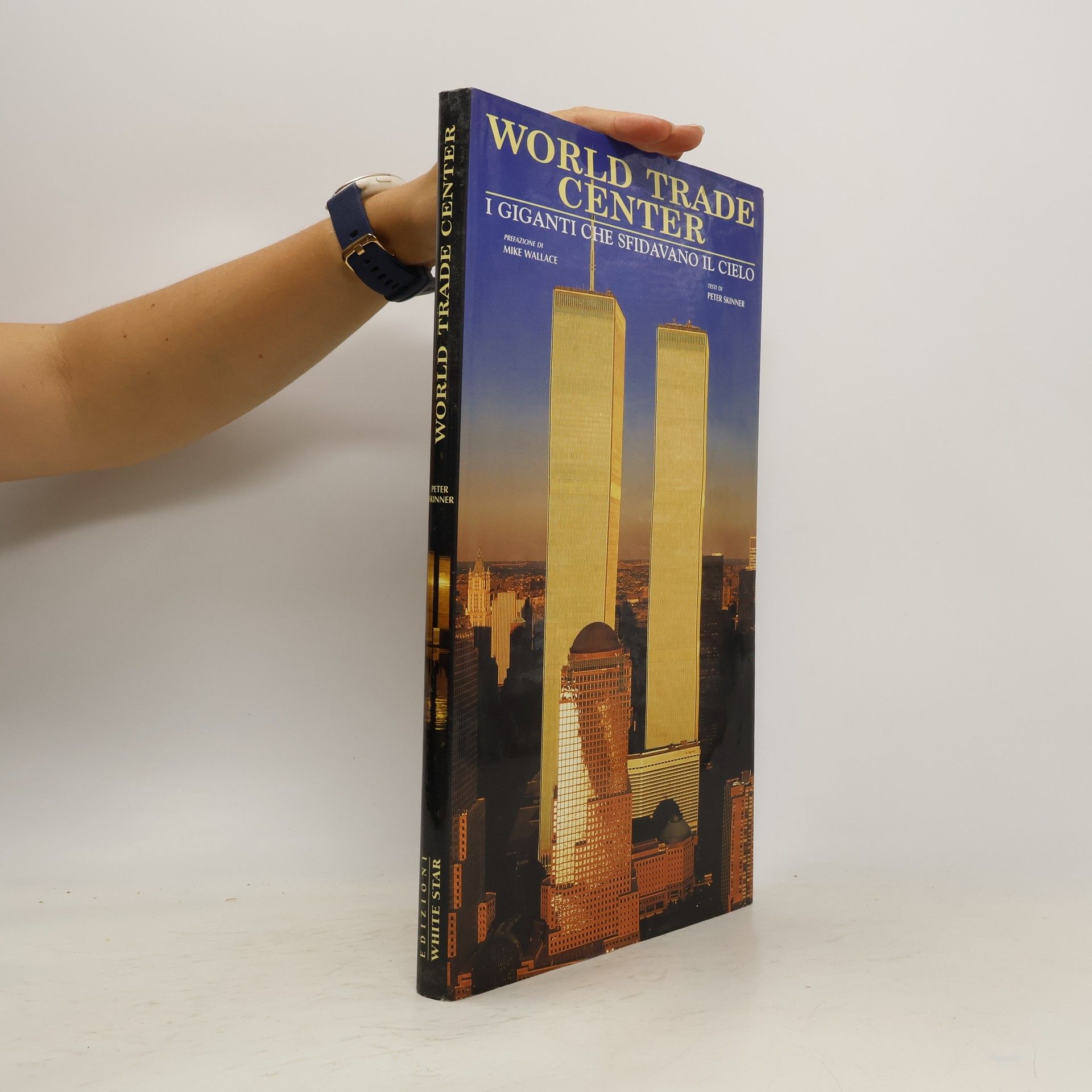 Peter F. Skinner World Trade Center. I giganti che sfidavano il cielo