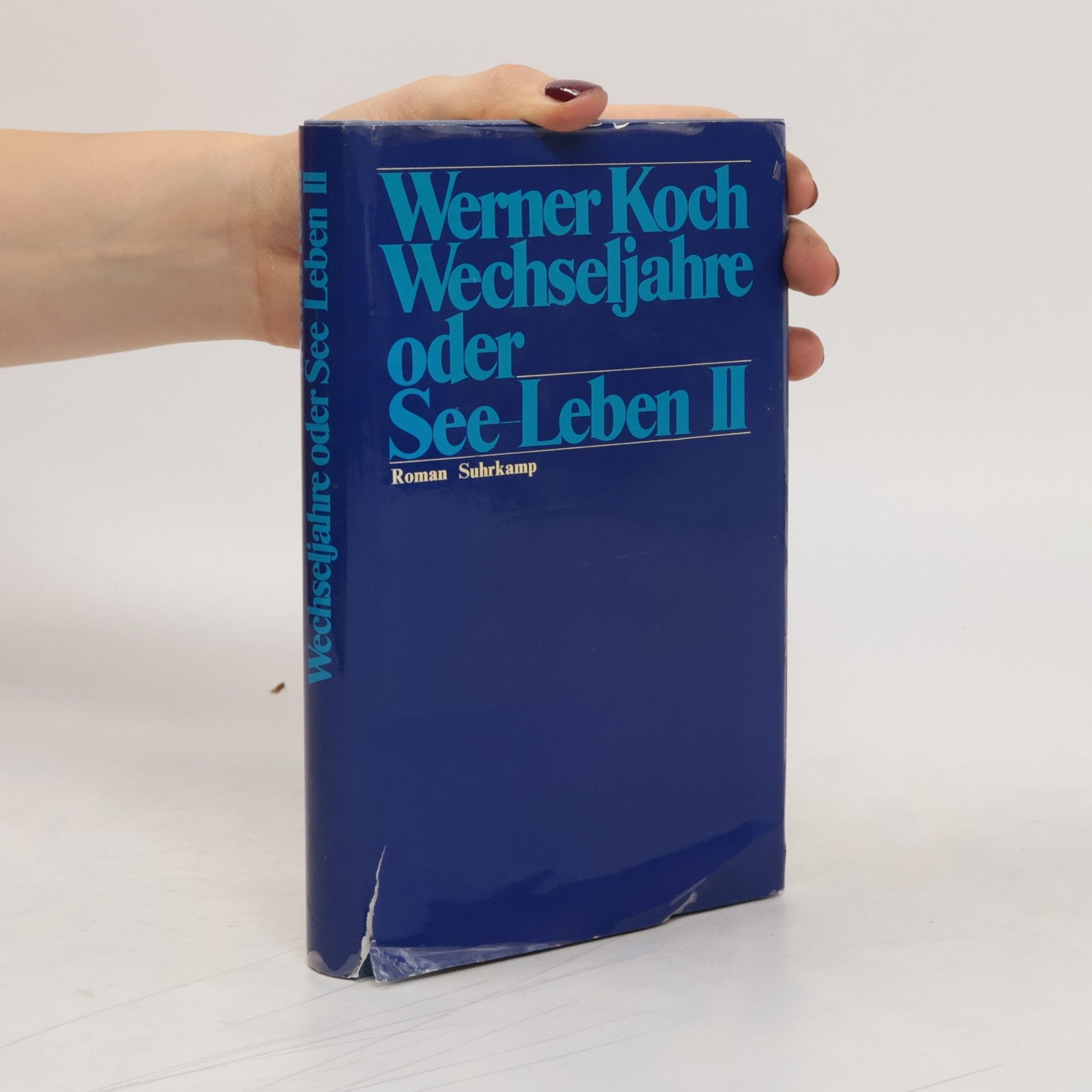 Werner Koch Wechseljahre oder See- Leben II