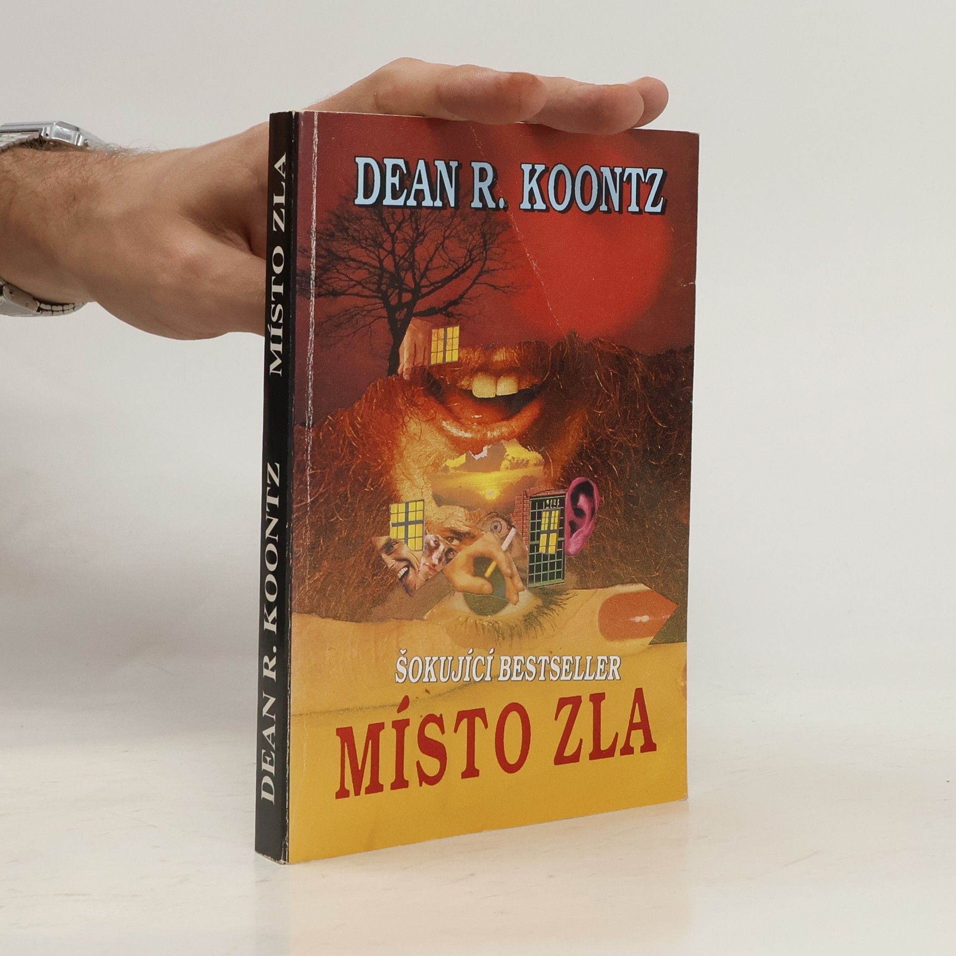 Dean R. Koontz Místo zla