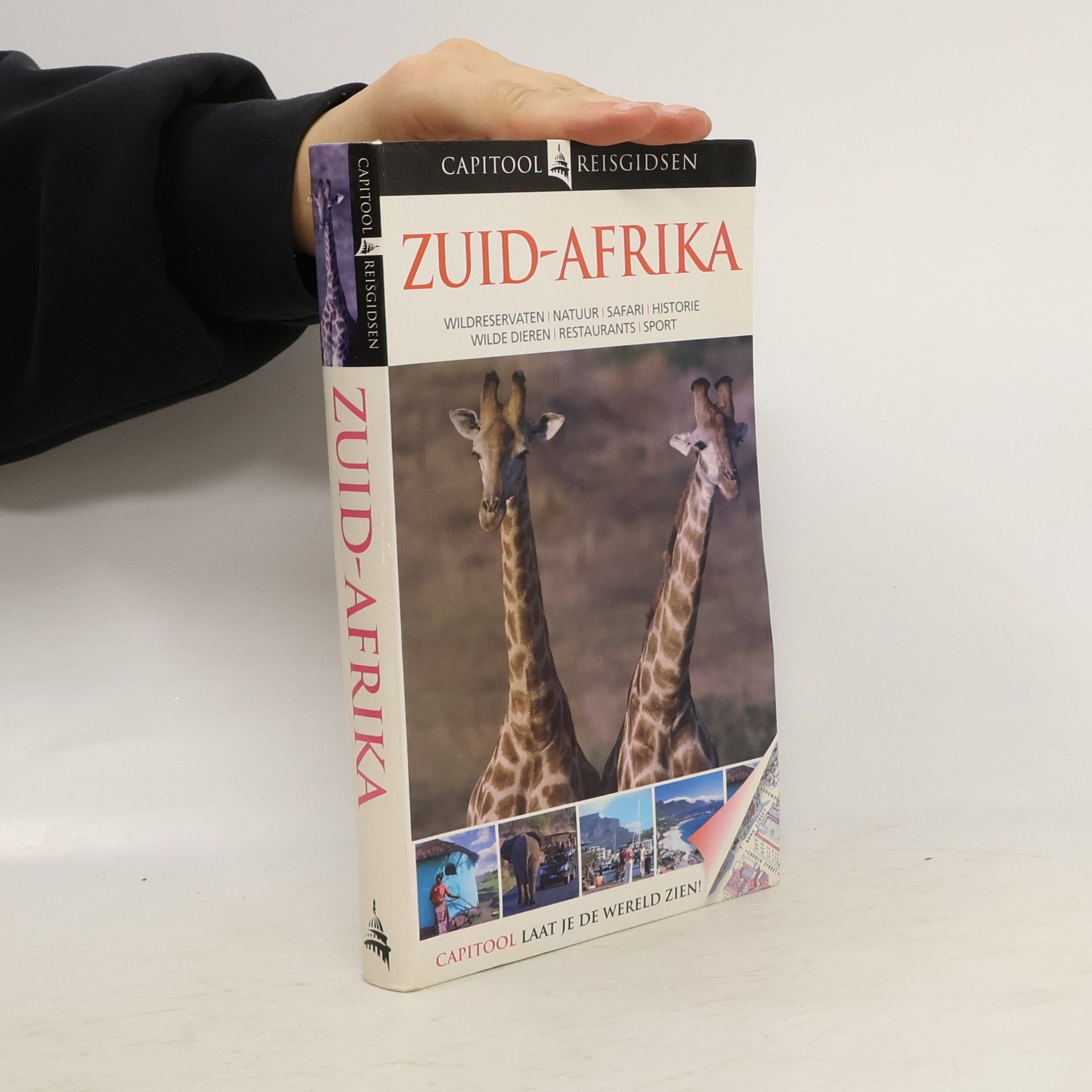 Michael Brett Capitool Zuid Afrika