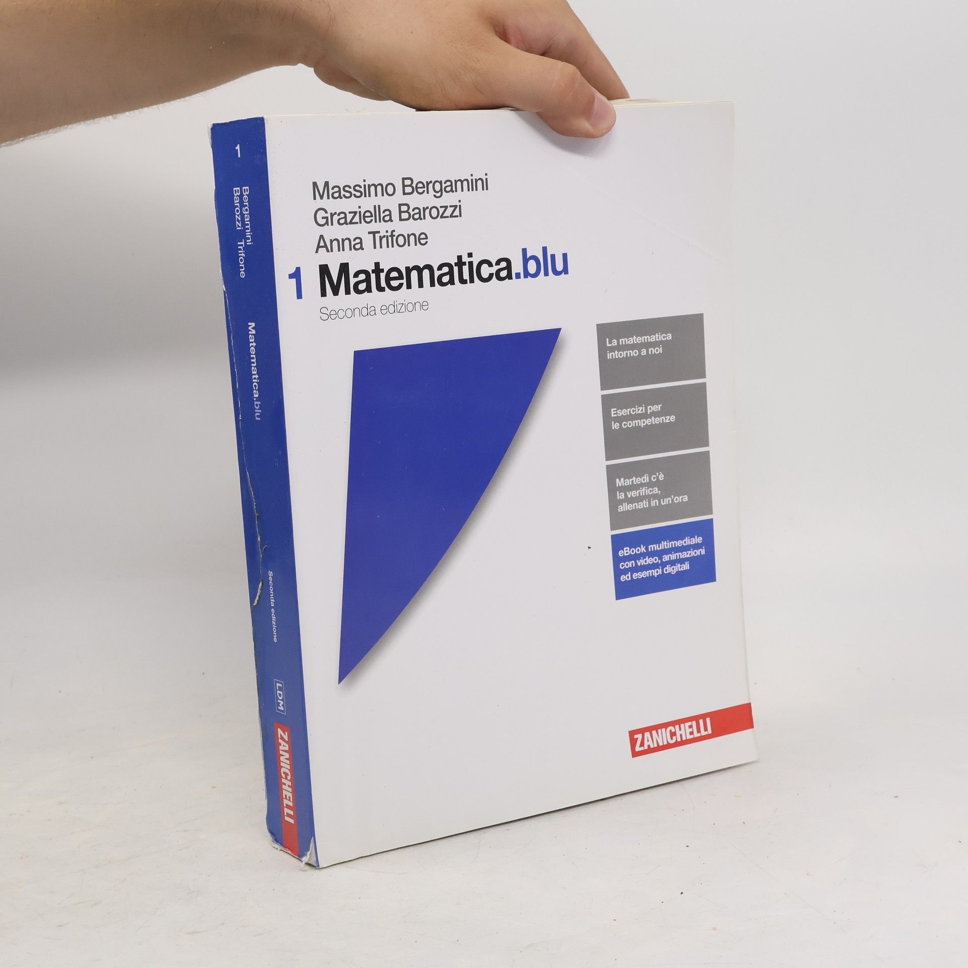 Massimo Bergamini 1 Matematica.blu