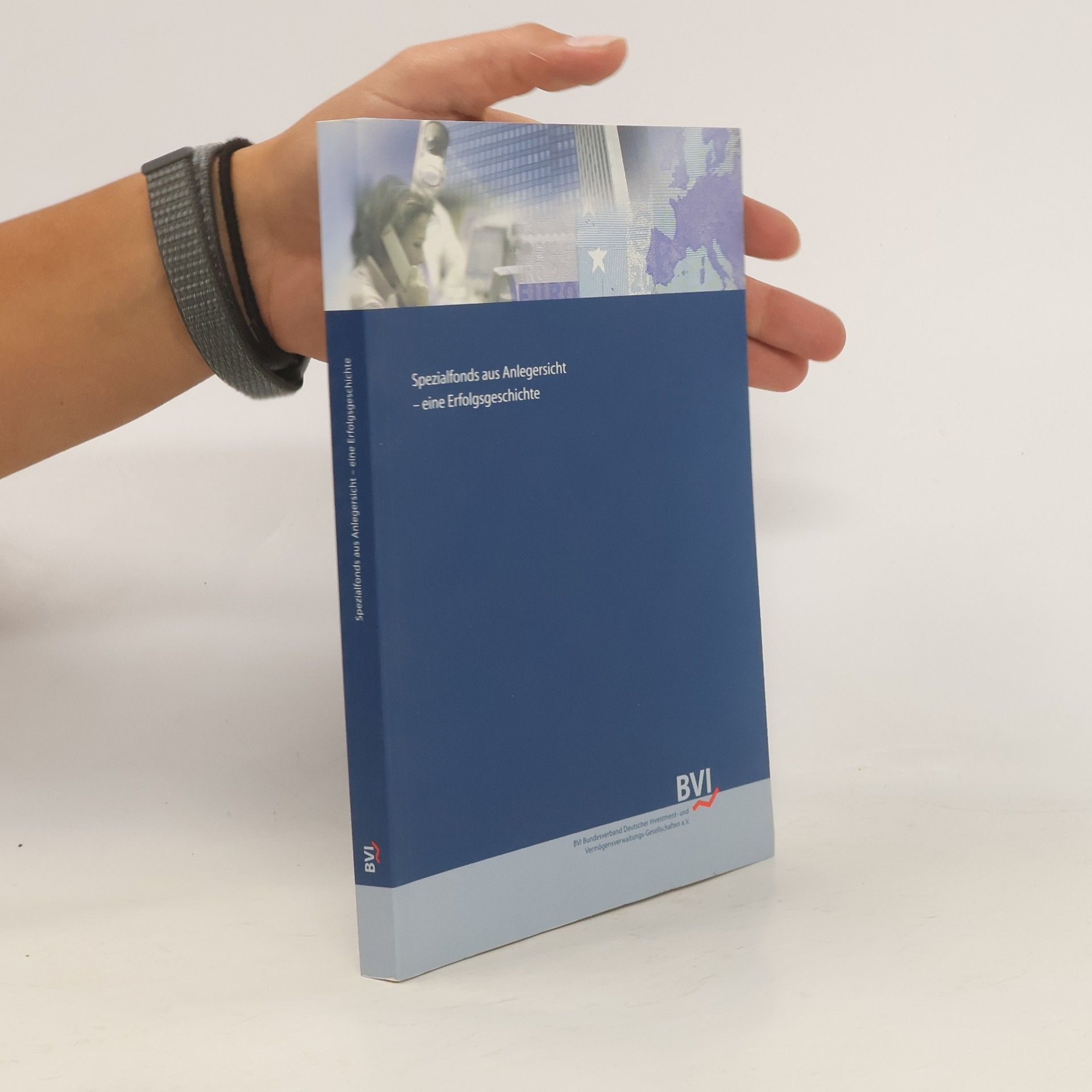 Kolektiv autorů Spezialfonds aus Anlegersicht - eine Erfolgsgeschichte