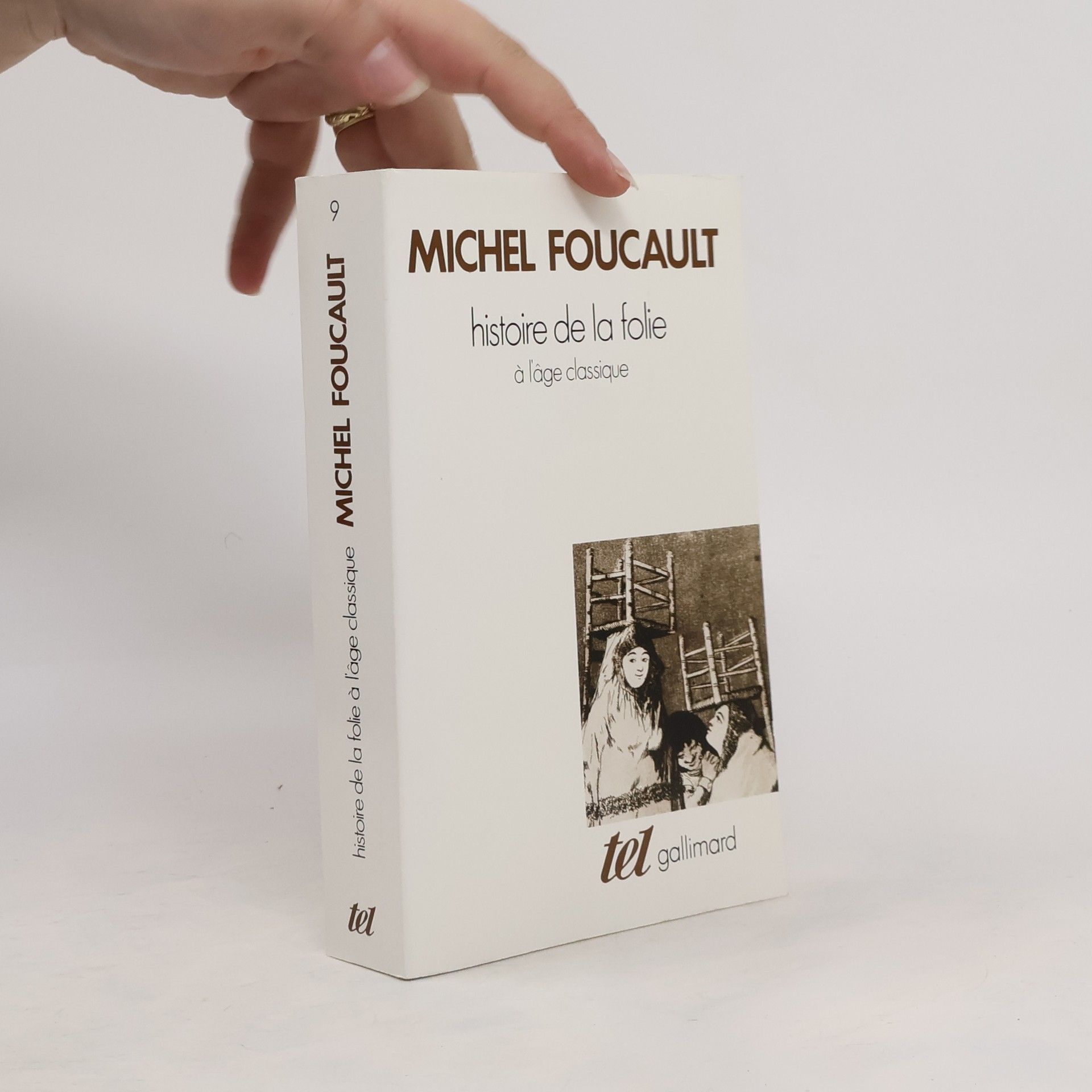 Michel Foucault Histoire de la folie à l'âge classique
