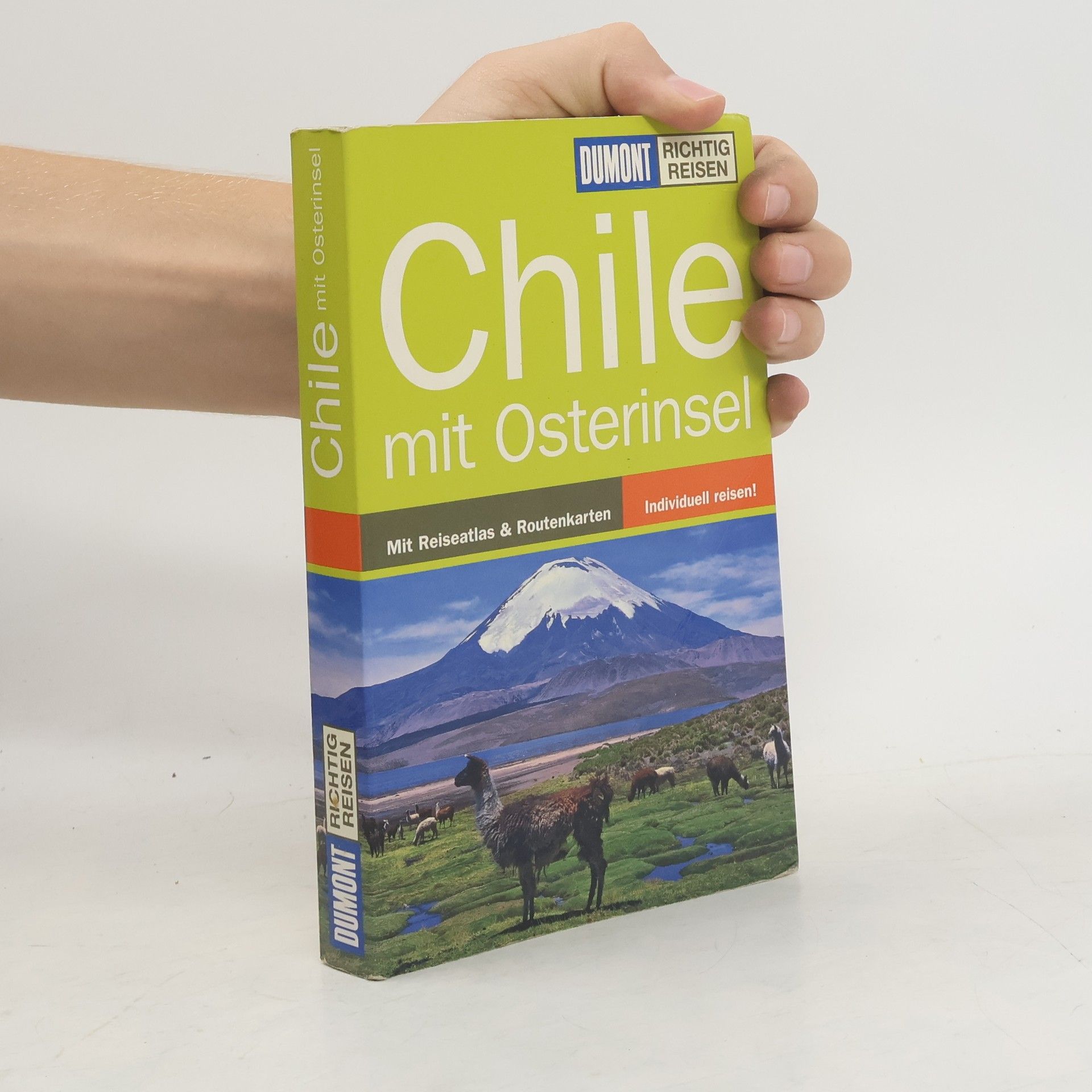 Susanne Asal Chile