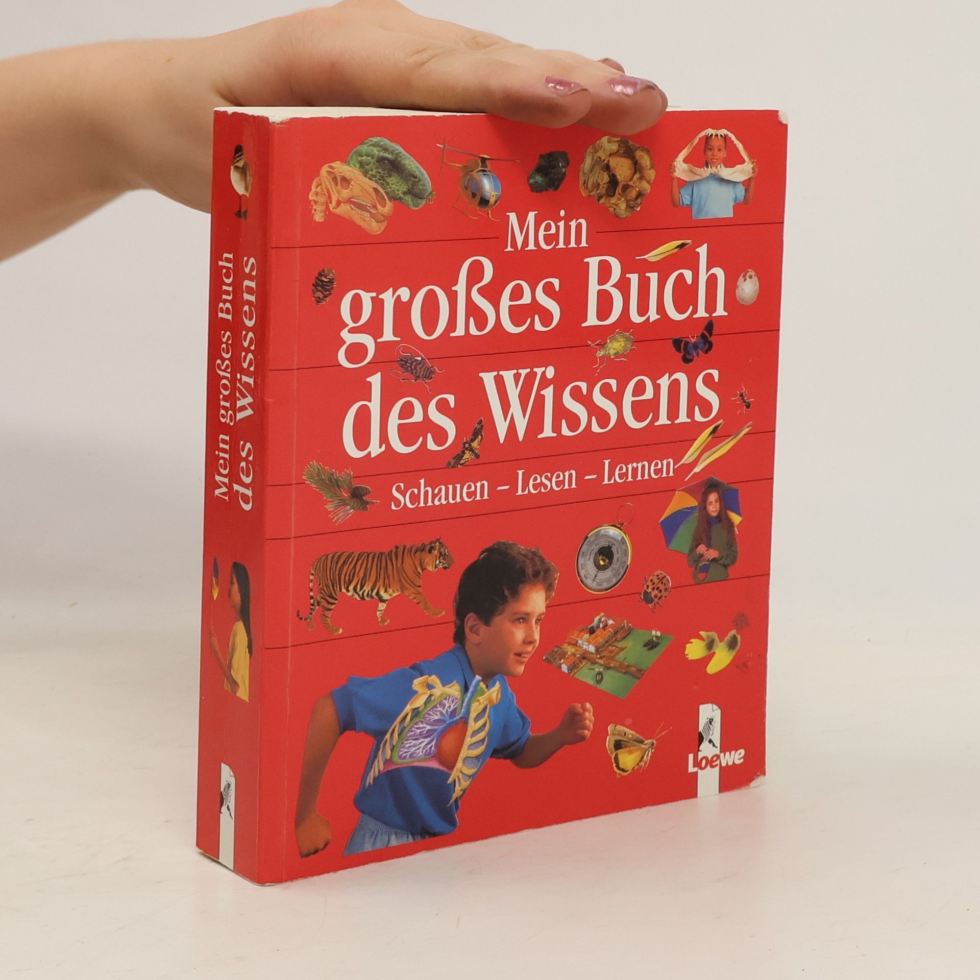 Susanne Härtel Mein großes Buch des Wissens