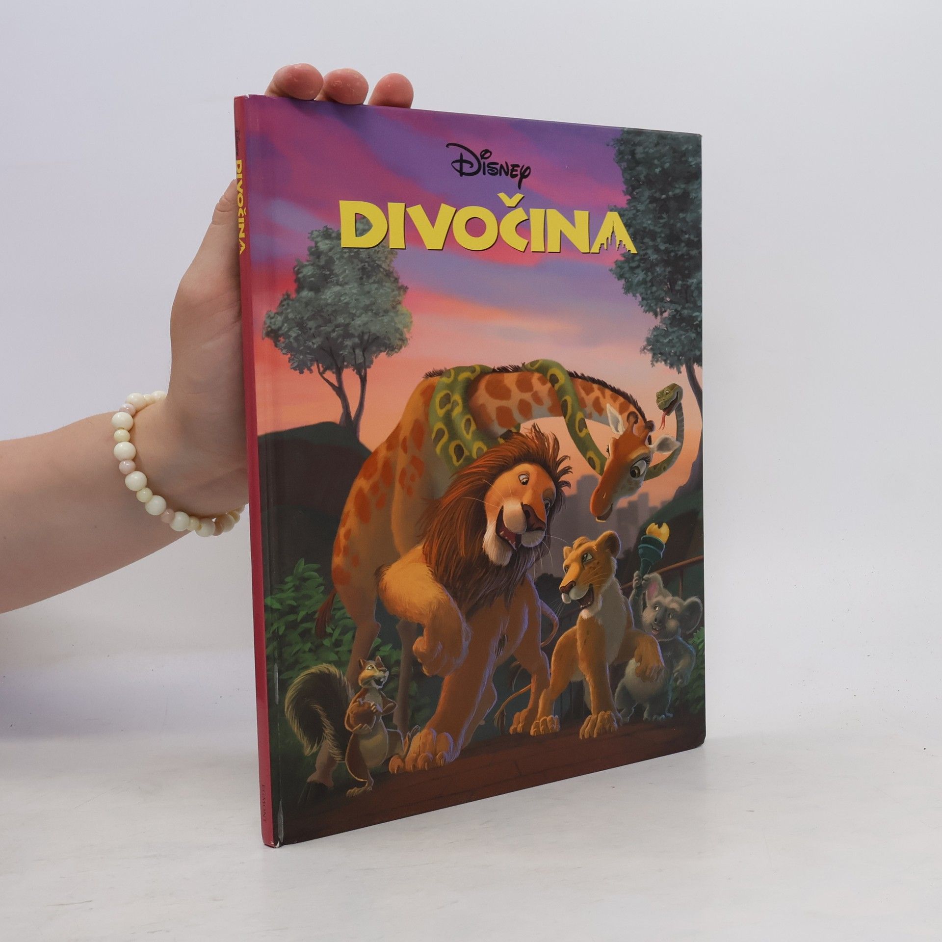 Autorenkollektiv Divočina
