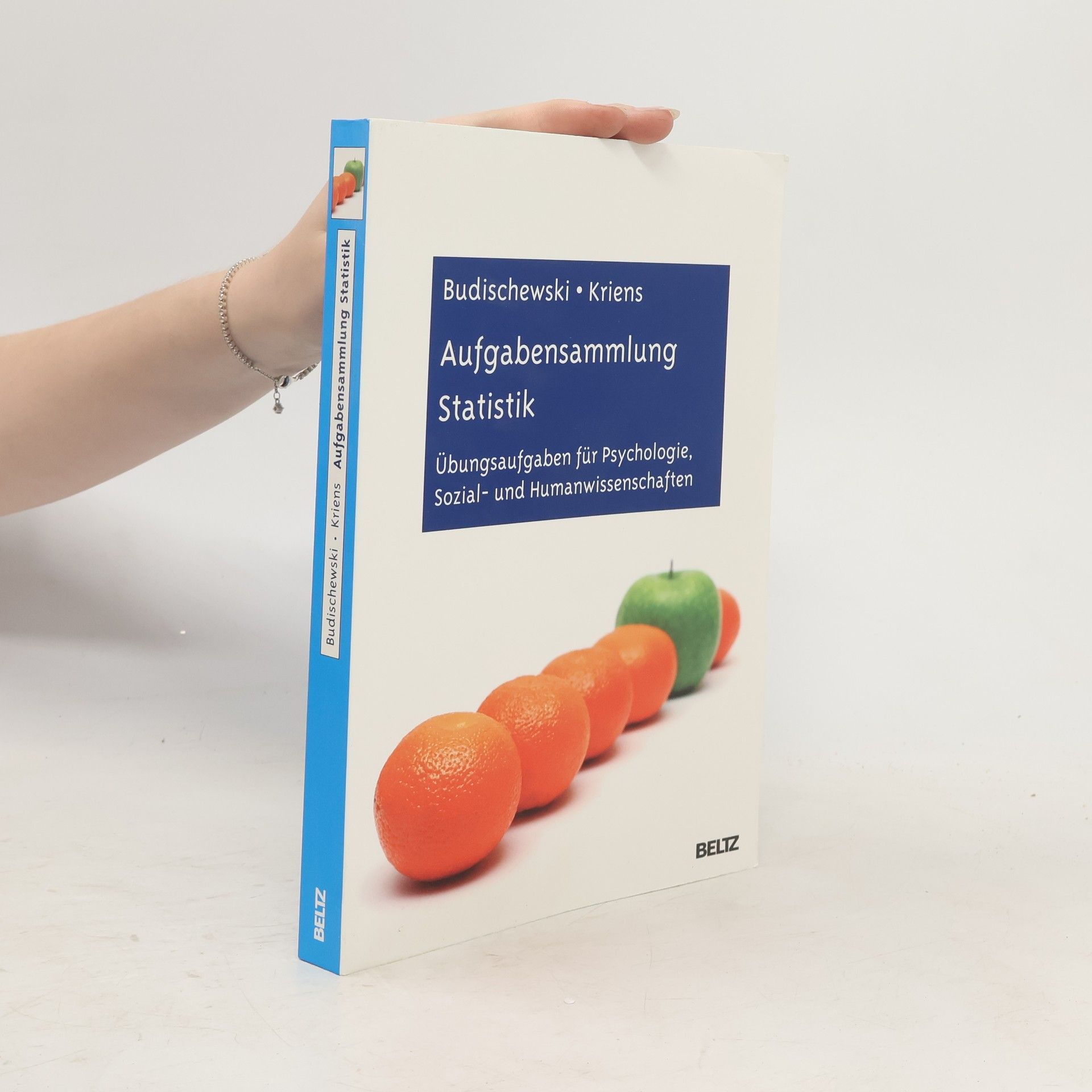 Kai Budischewski Aufgabensammlung Statistik