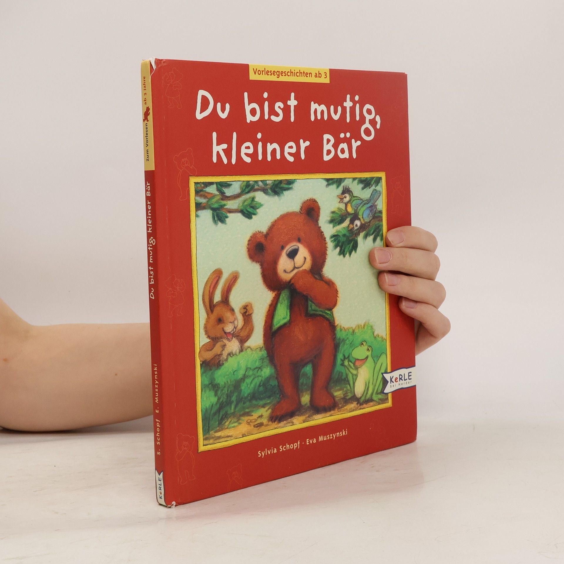 Sylvia Schopf Du bist mutig, kleiner Bär