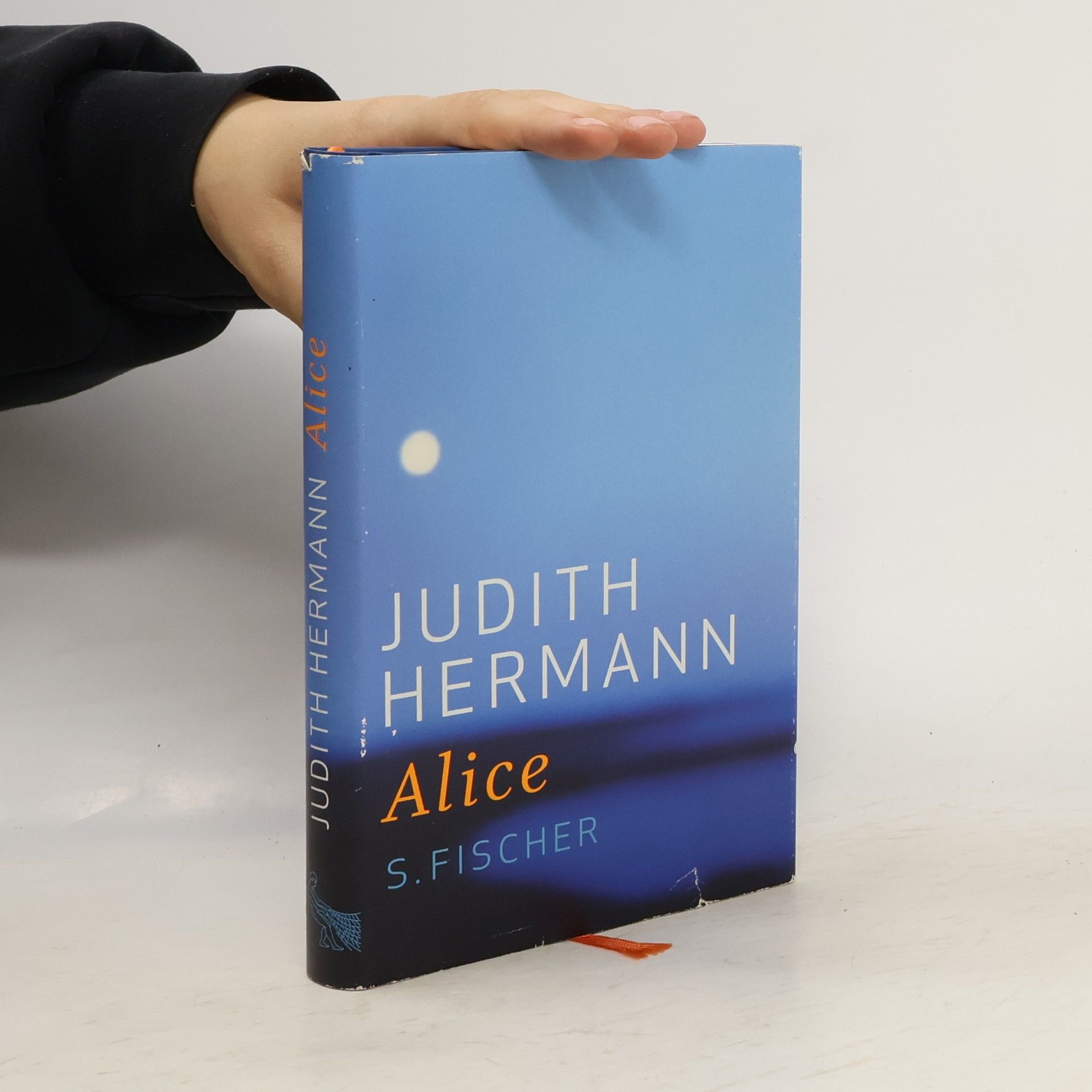 Judith Hermann Alice