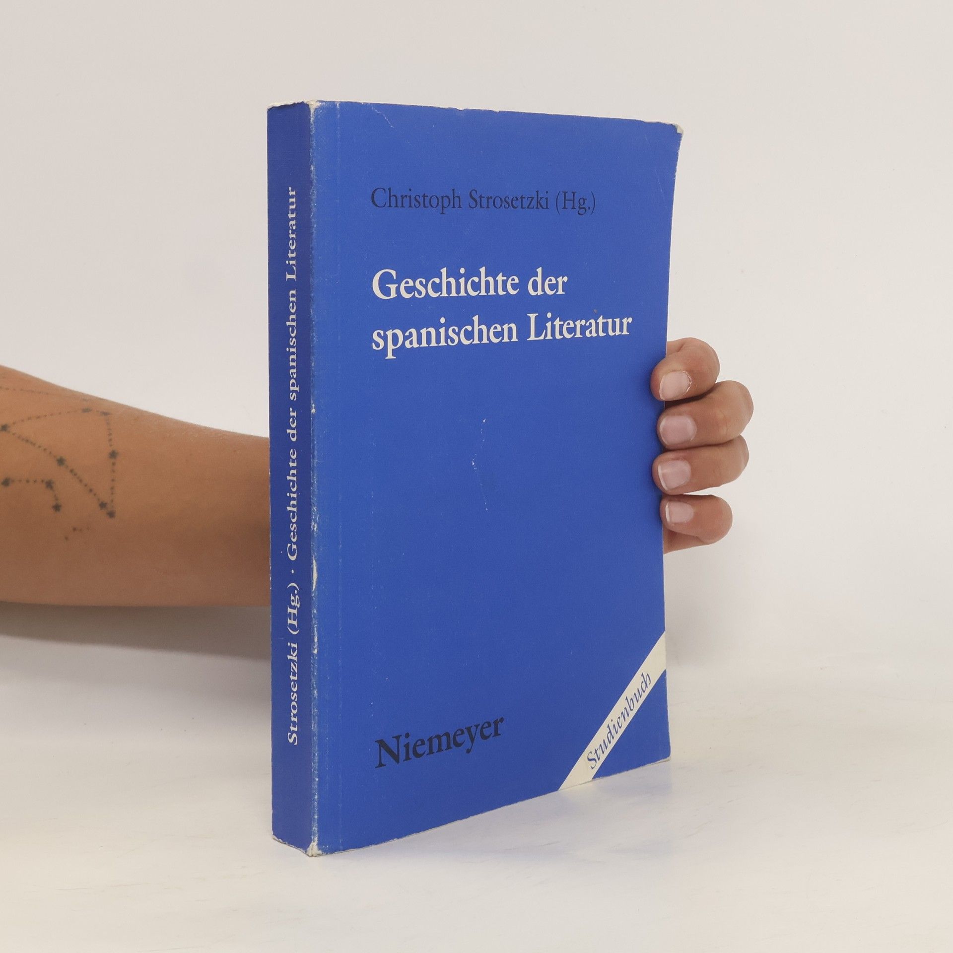 Christoph Strosetzki Geschichte der spanischen Literatur