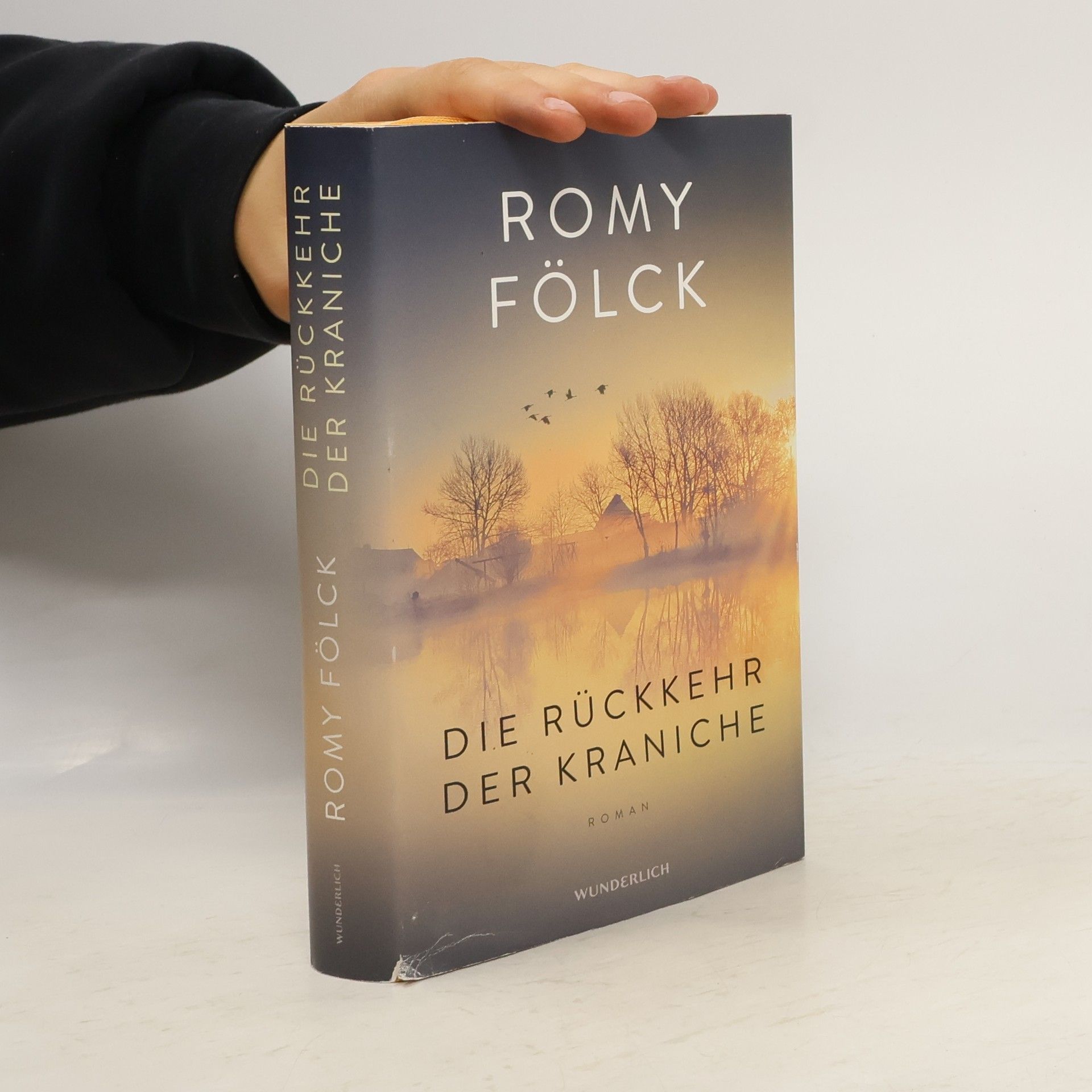 Romy Fölck Die Rückkehr der Kraniche