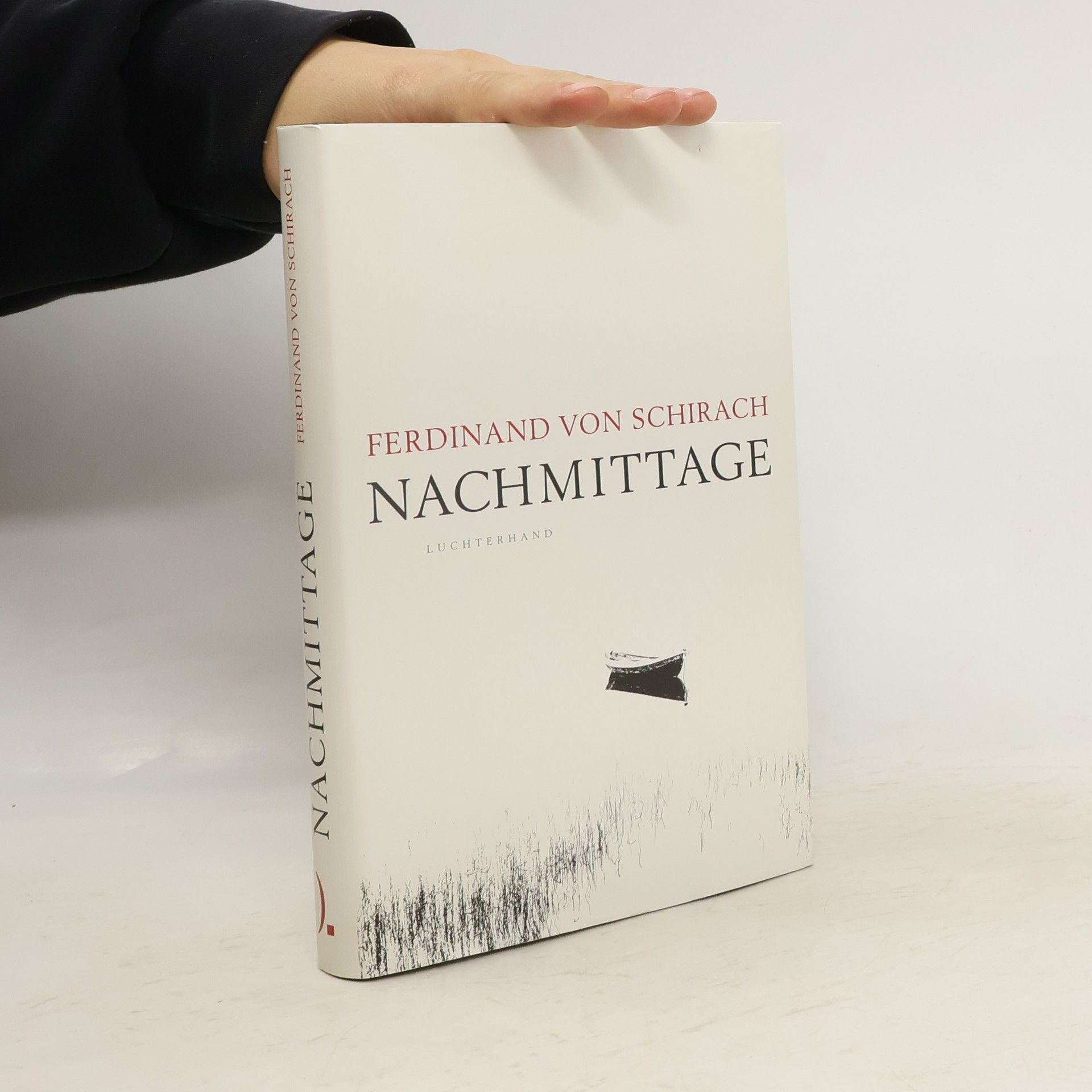 Ferdinand von Schirach Nachmittage