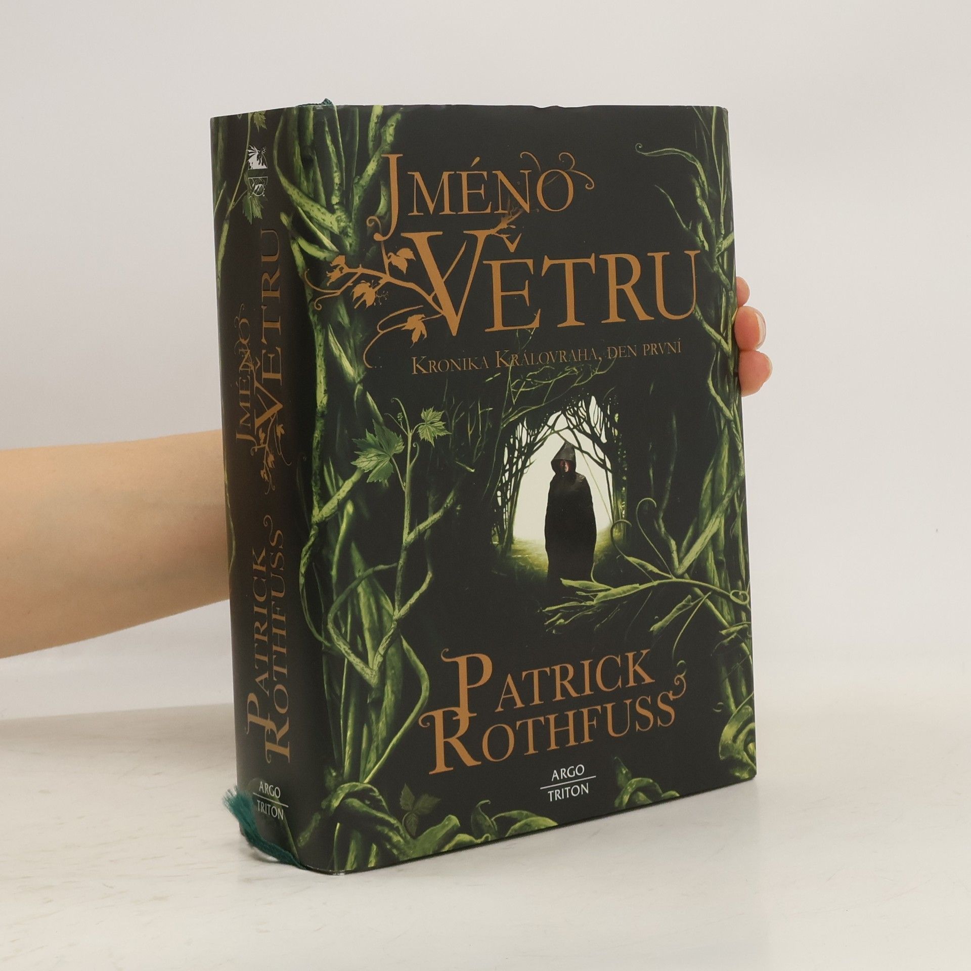 Patrick Rothfuss Jméno větru. Kronika Královraha, den první