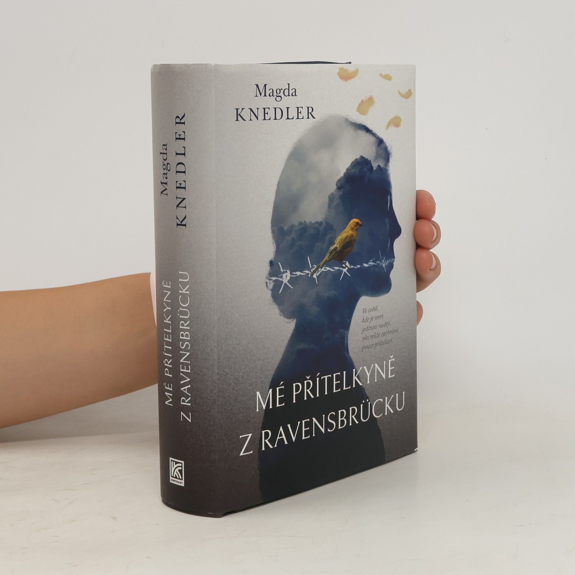 Magdalena Knedler Mé přítelkyně z Ravensbrücku