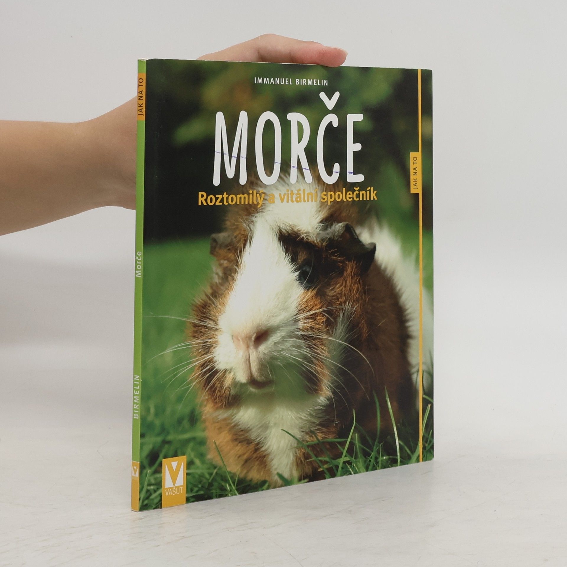 Immanuel Birmelin Morče. Roztomilý a vitální společník