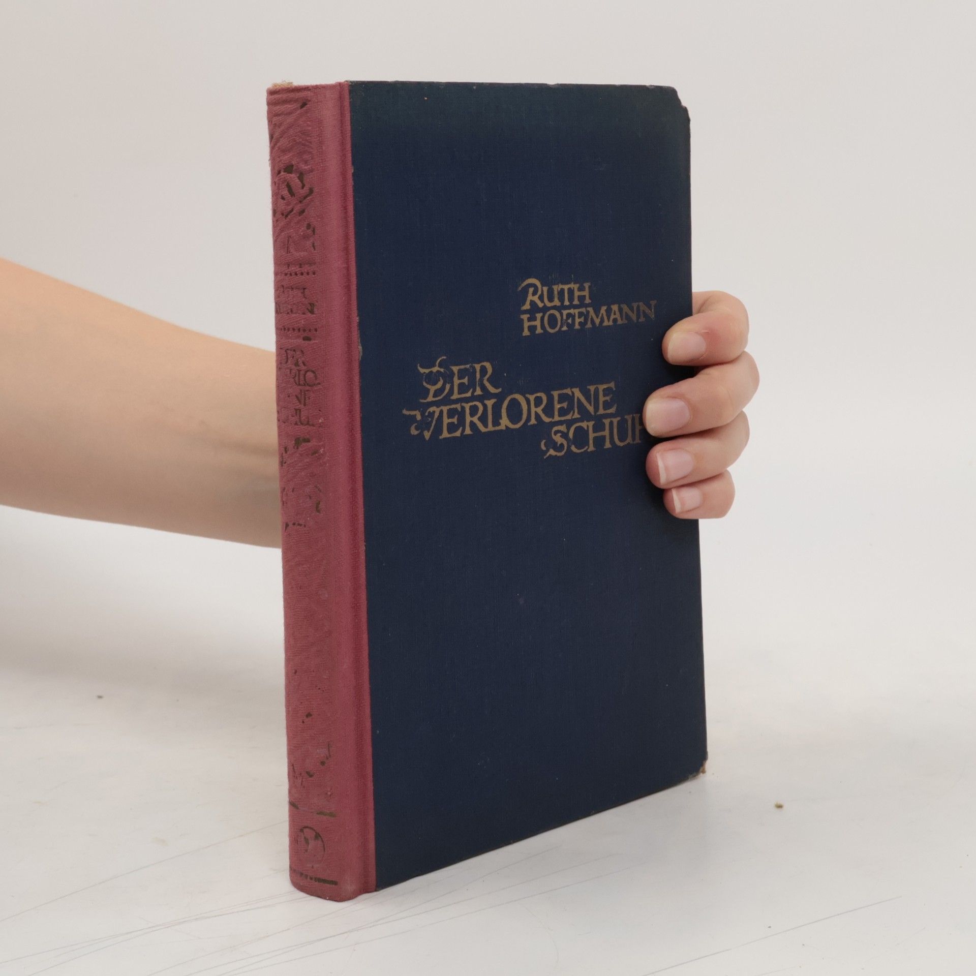 Collectif d'auteurs Der verlorene Schuh