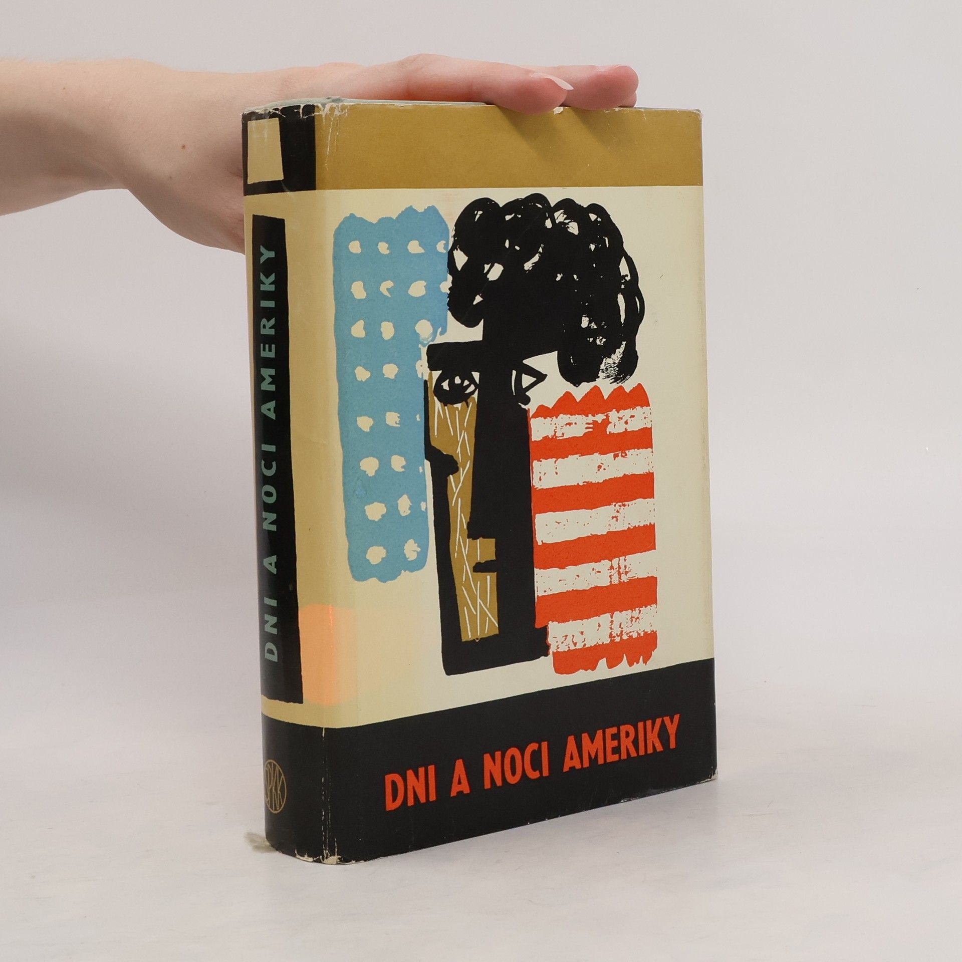 Autorenkollektiv Dni a noci Ameriky