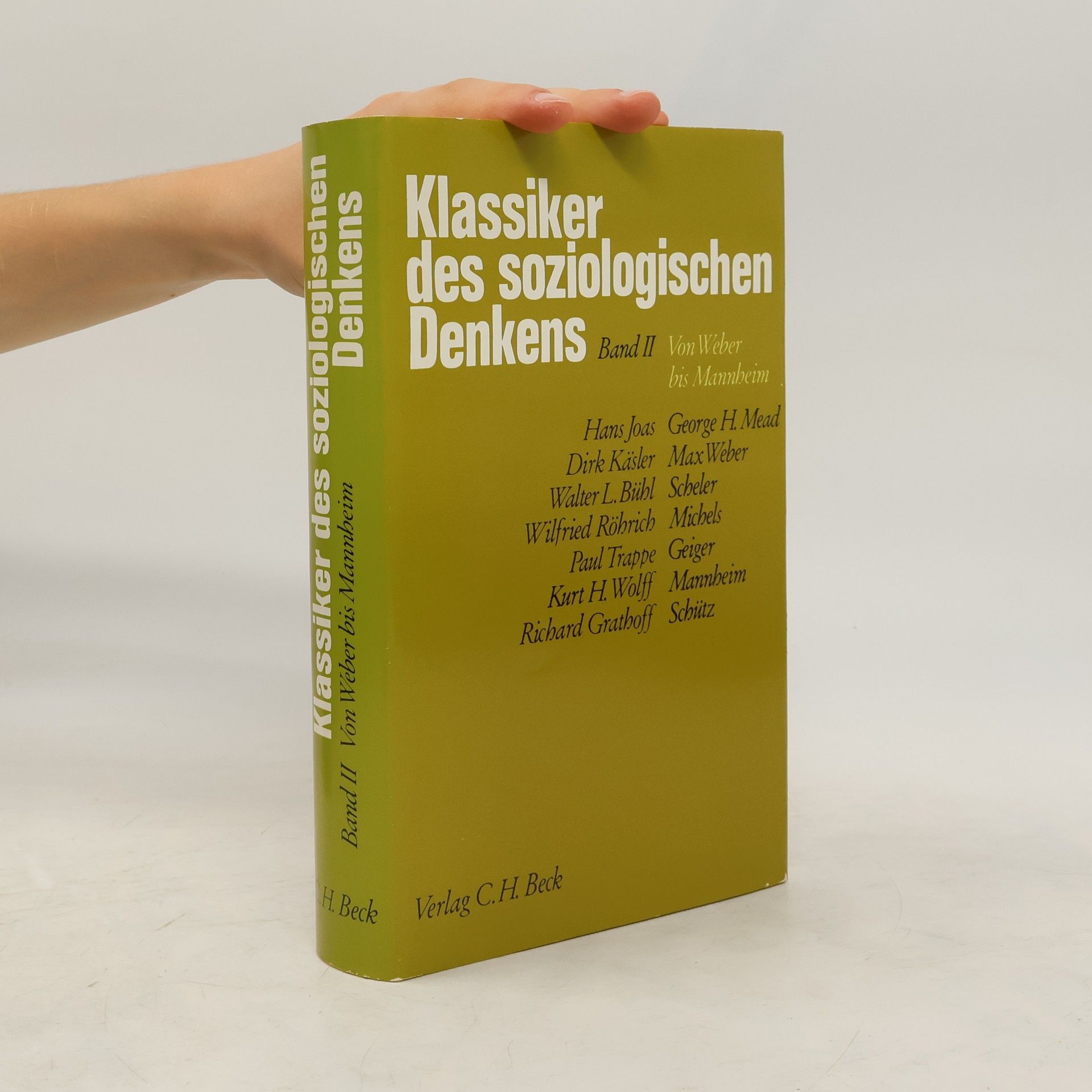 Hans Joas Klassiker des soziologischen Denkens