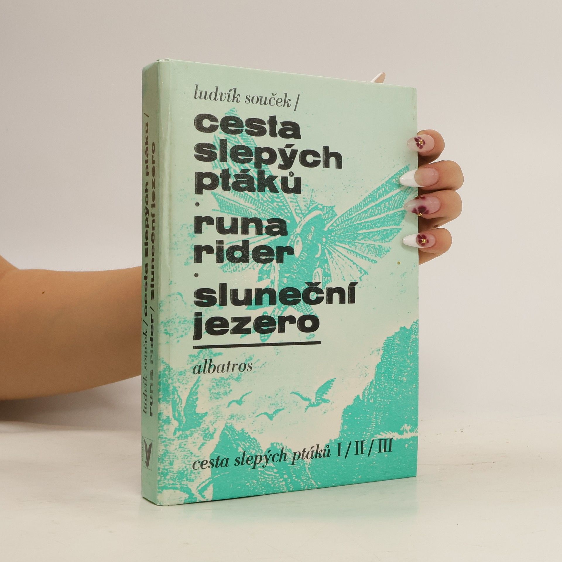 Ludvík Souček Cesta slepých ptáků. Runa rider. Sluneční jezero
